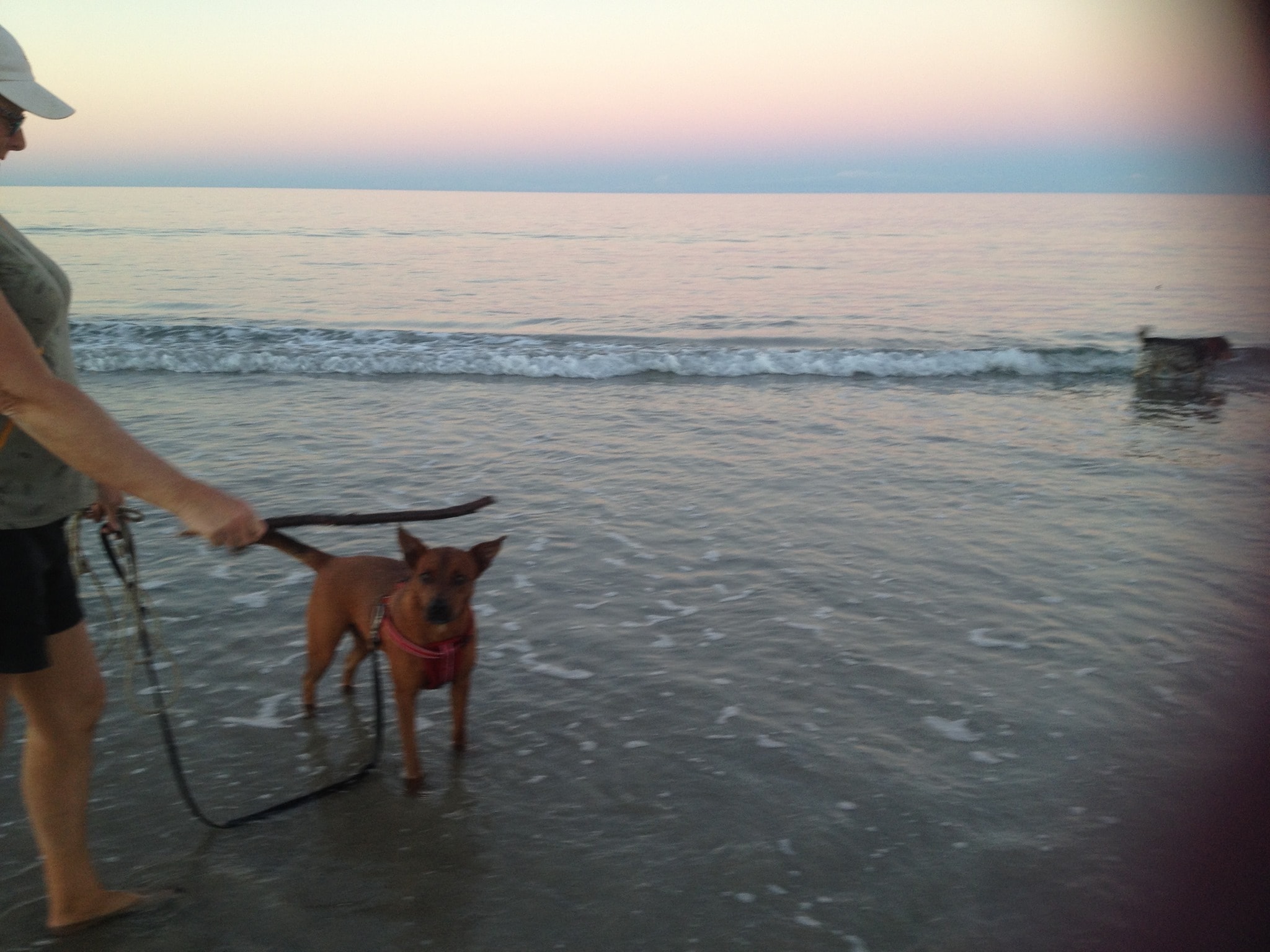 image-44