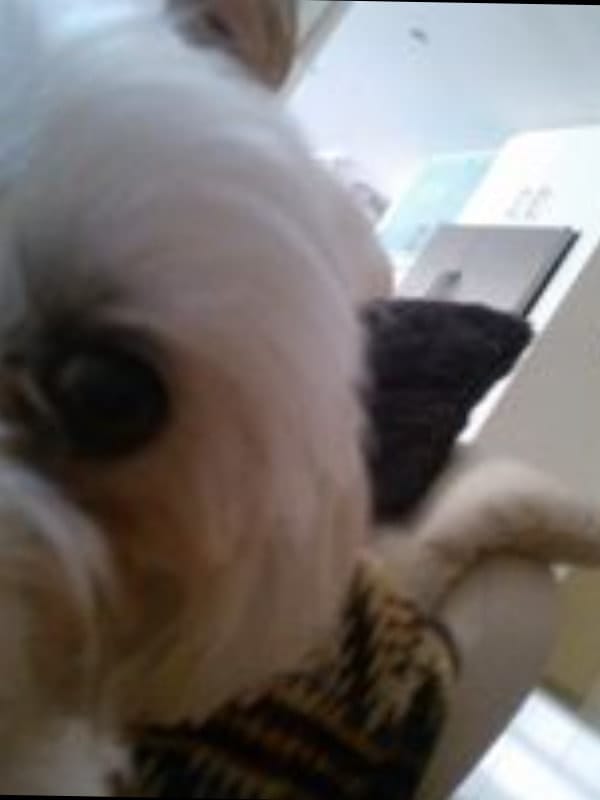 image-4