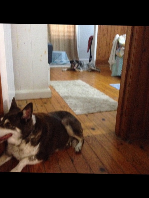 image-3