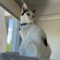 Maggie
