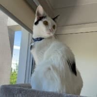 Maggie