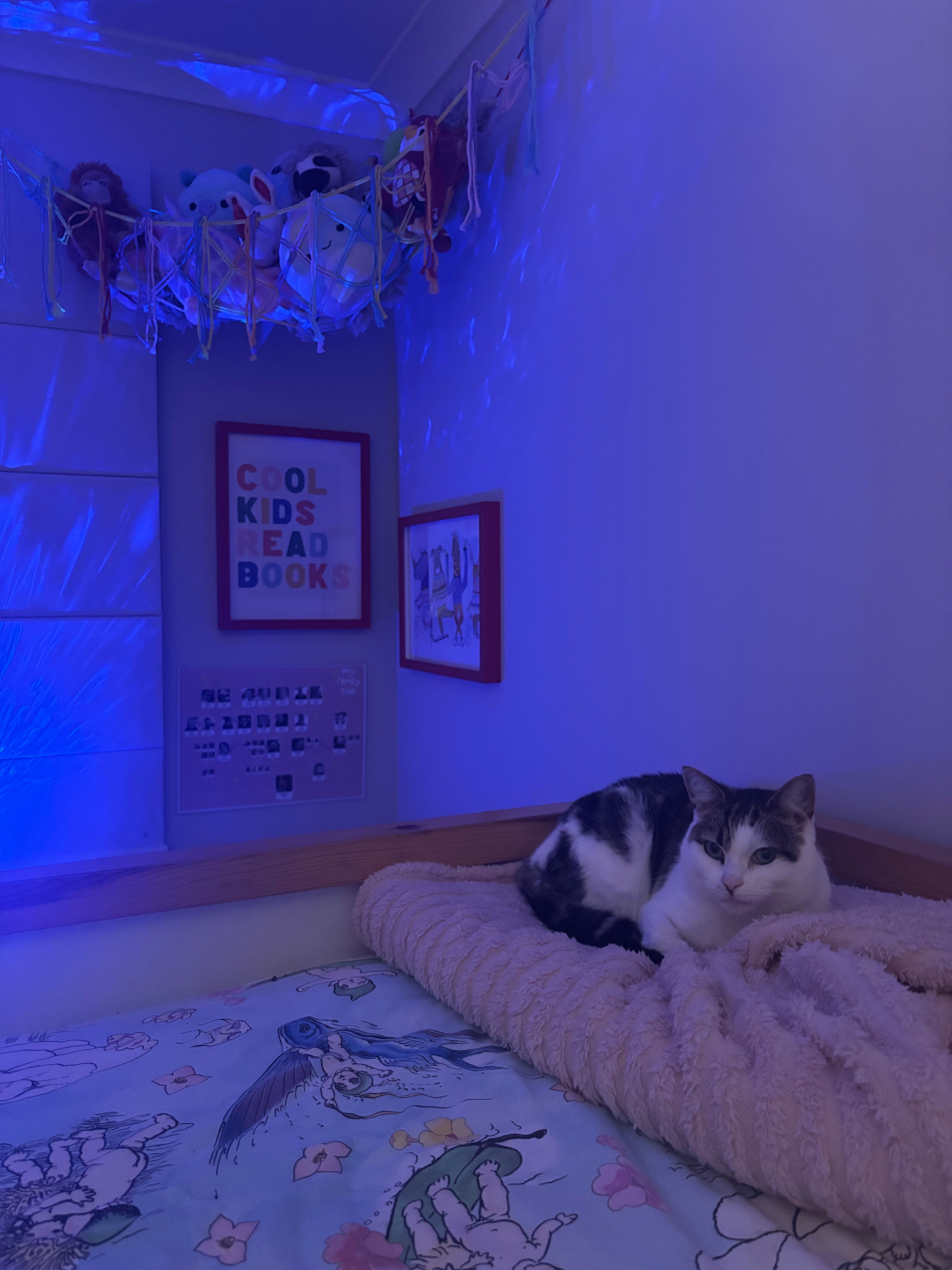 image-11