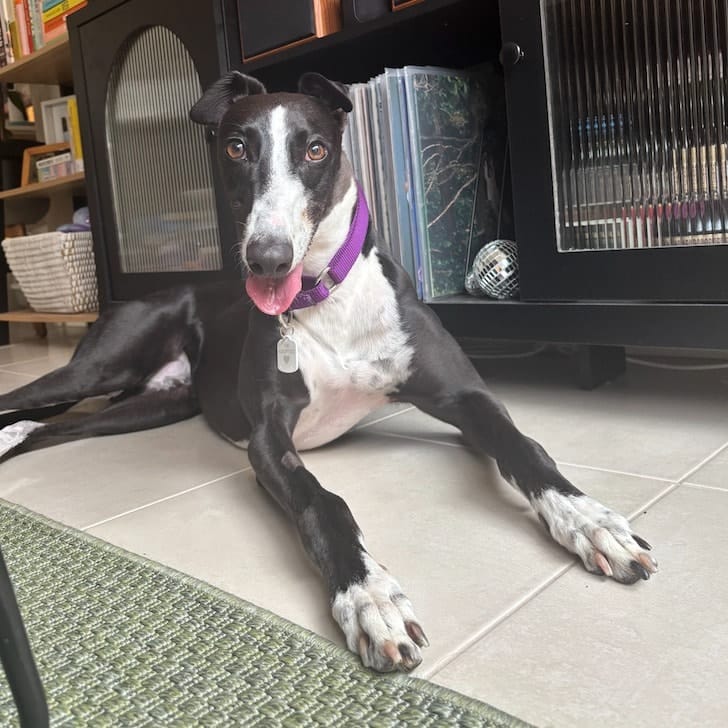 Maggie