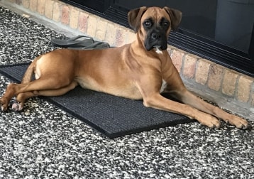 Sadie Jane