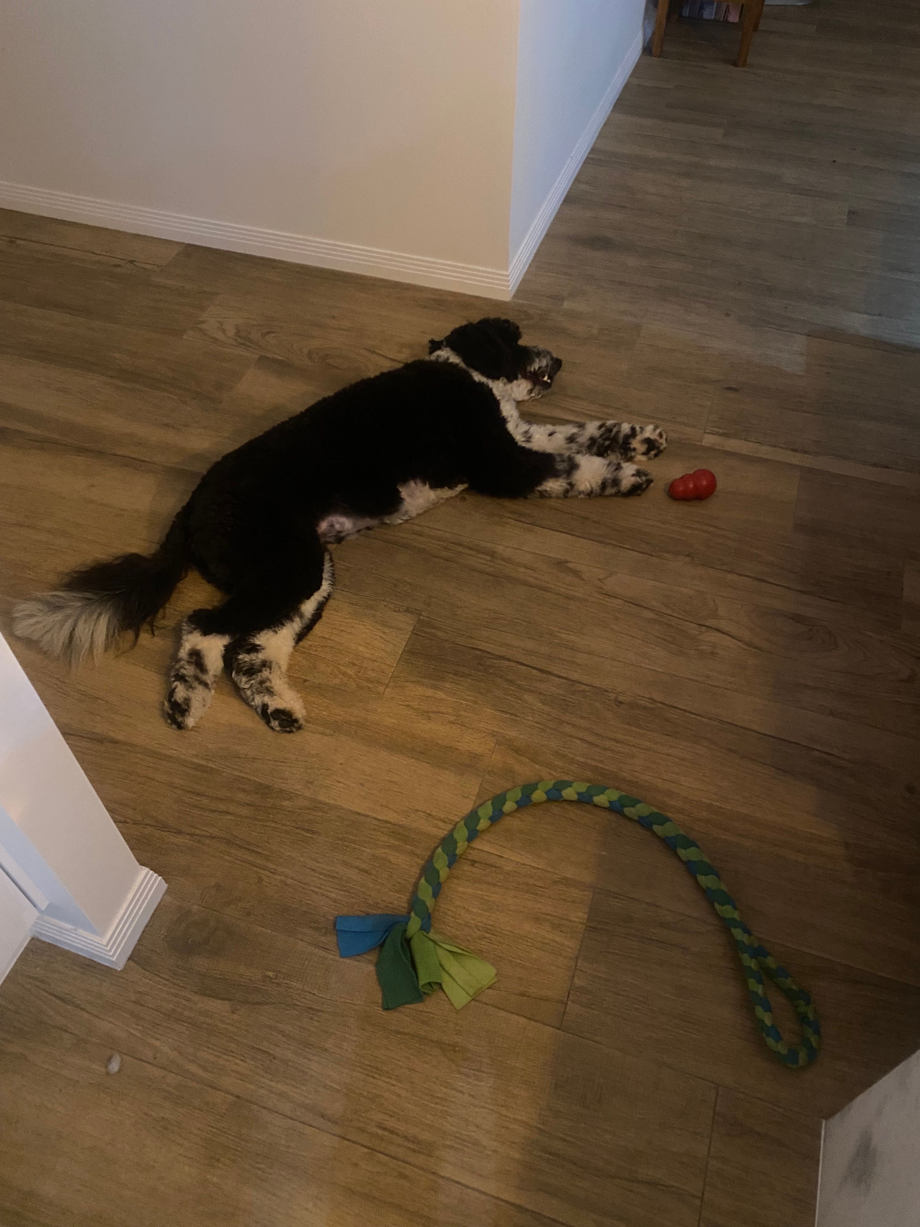 image-13