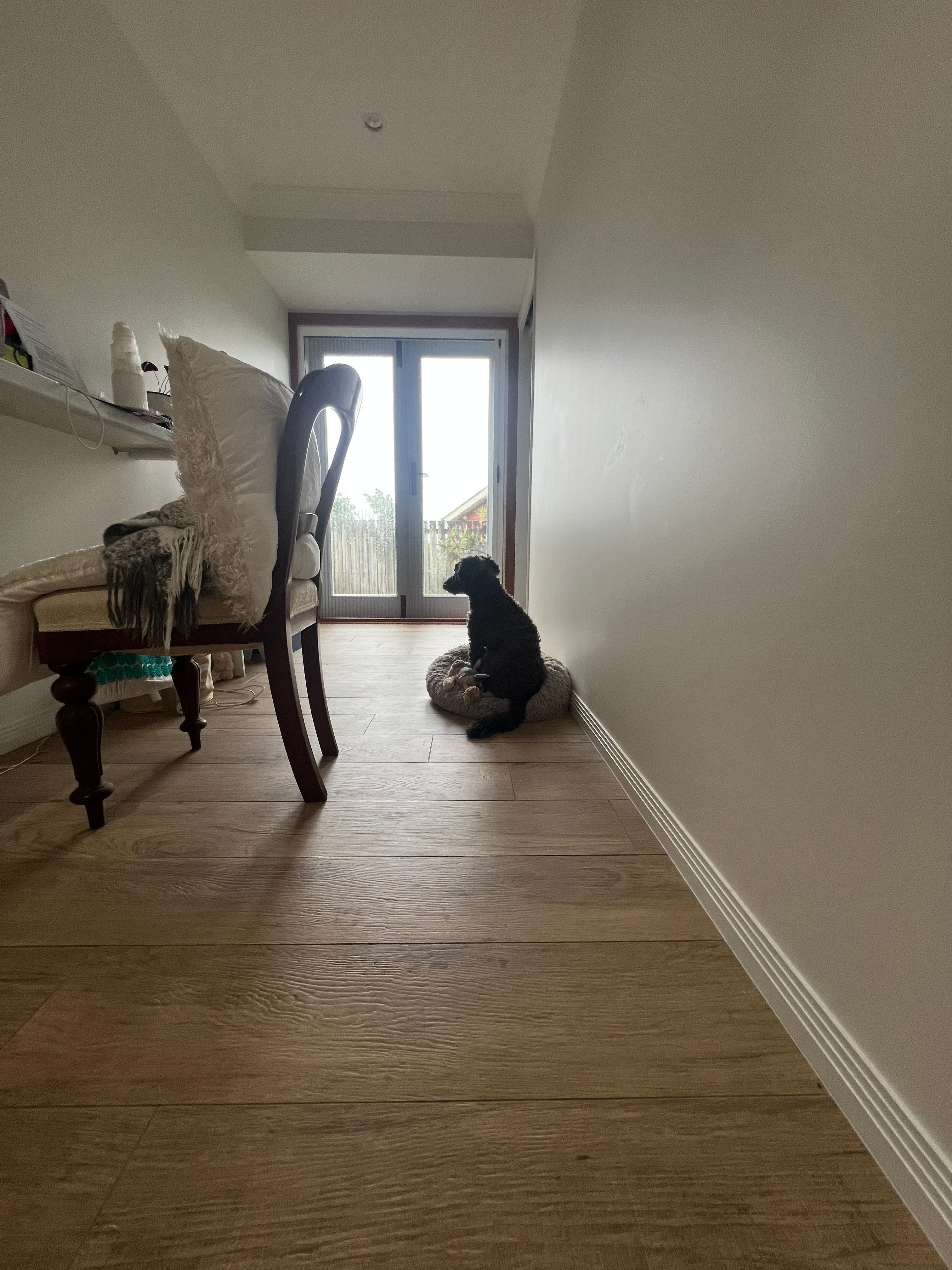 image-18
