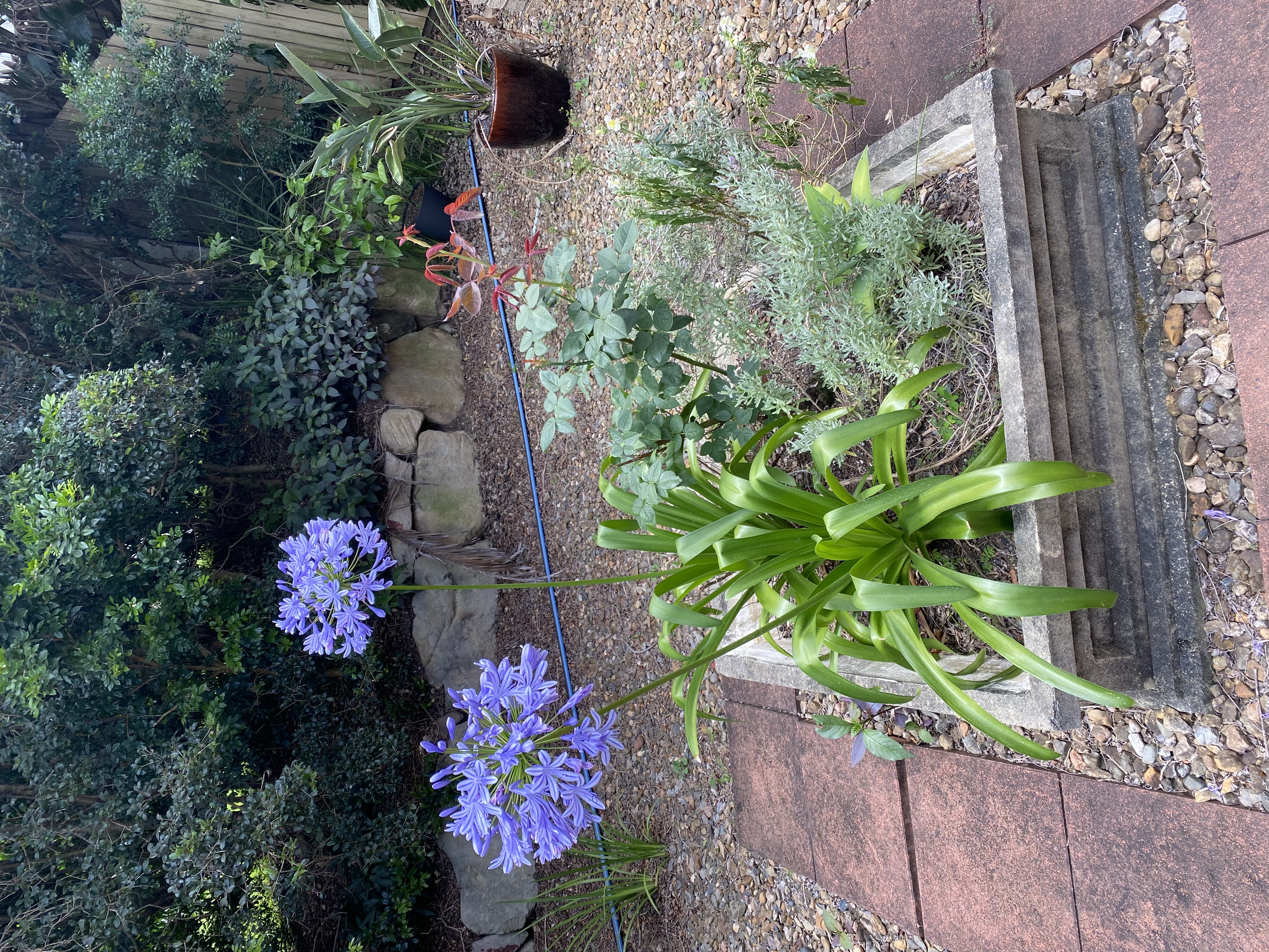 image-20