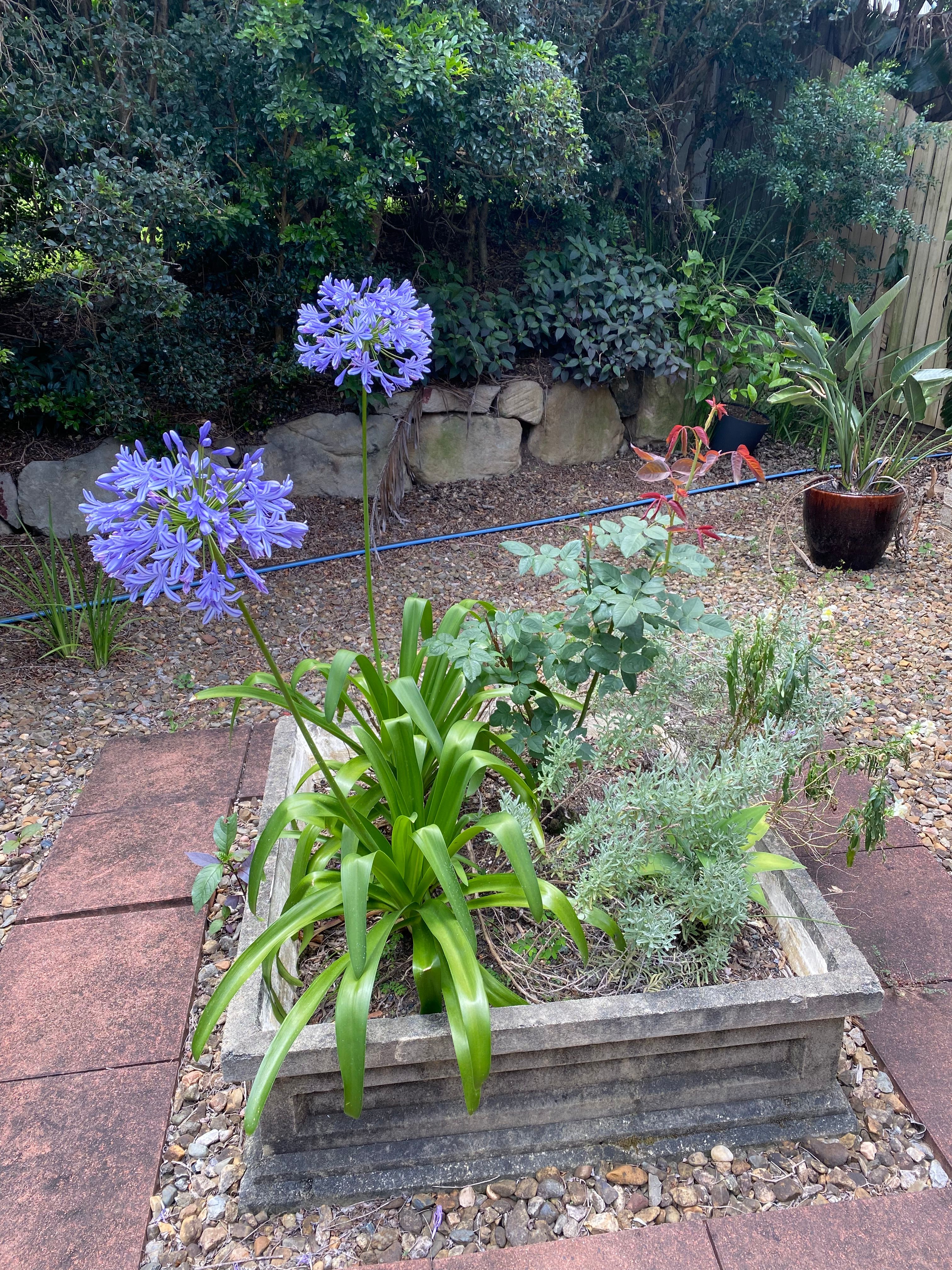 image-20