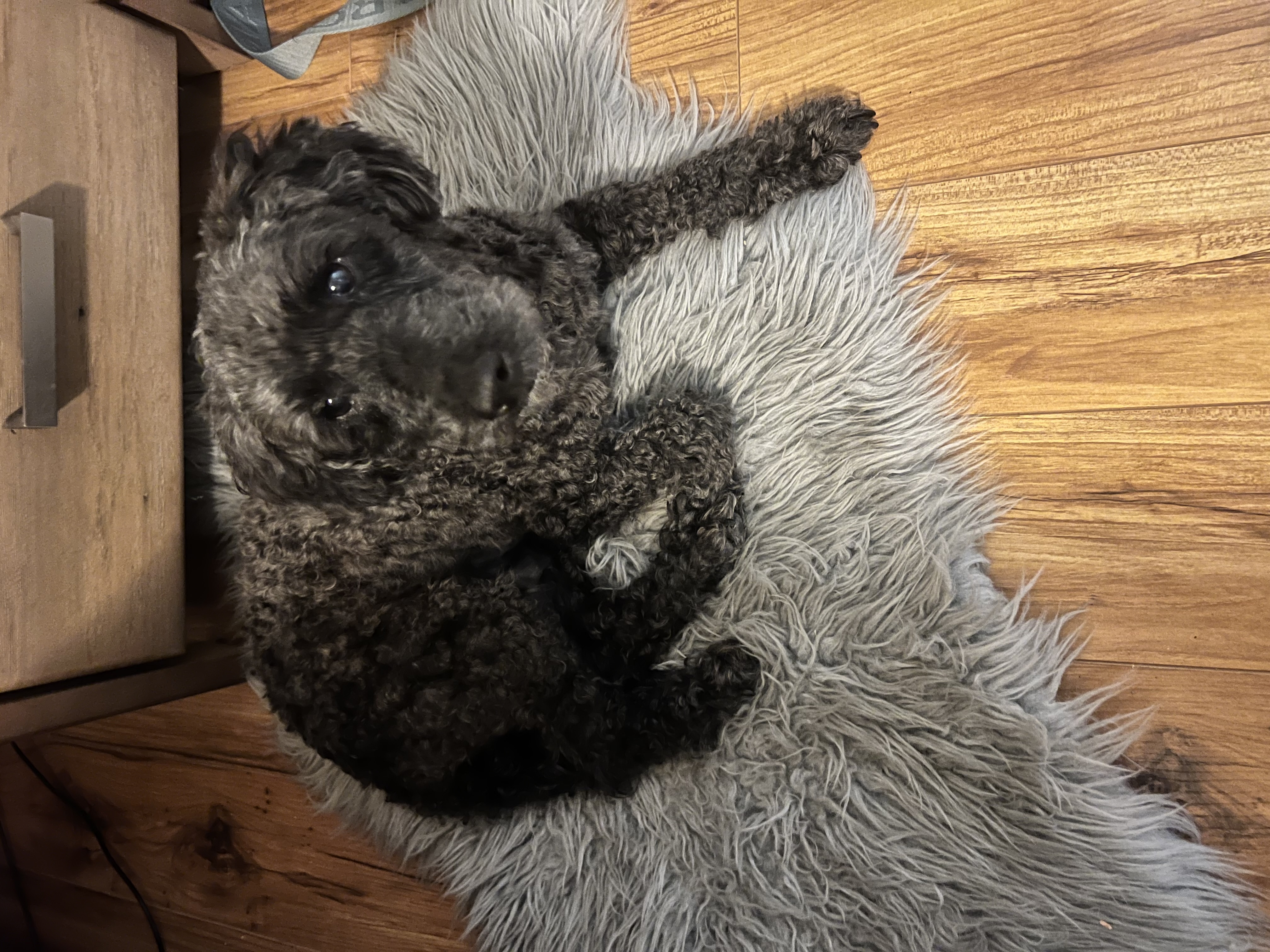 image-11