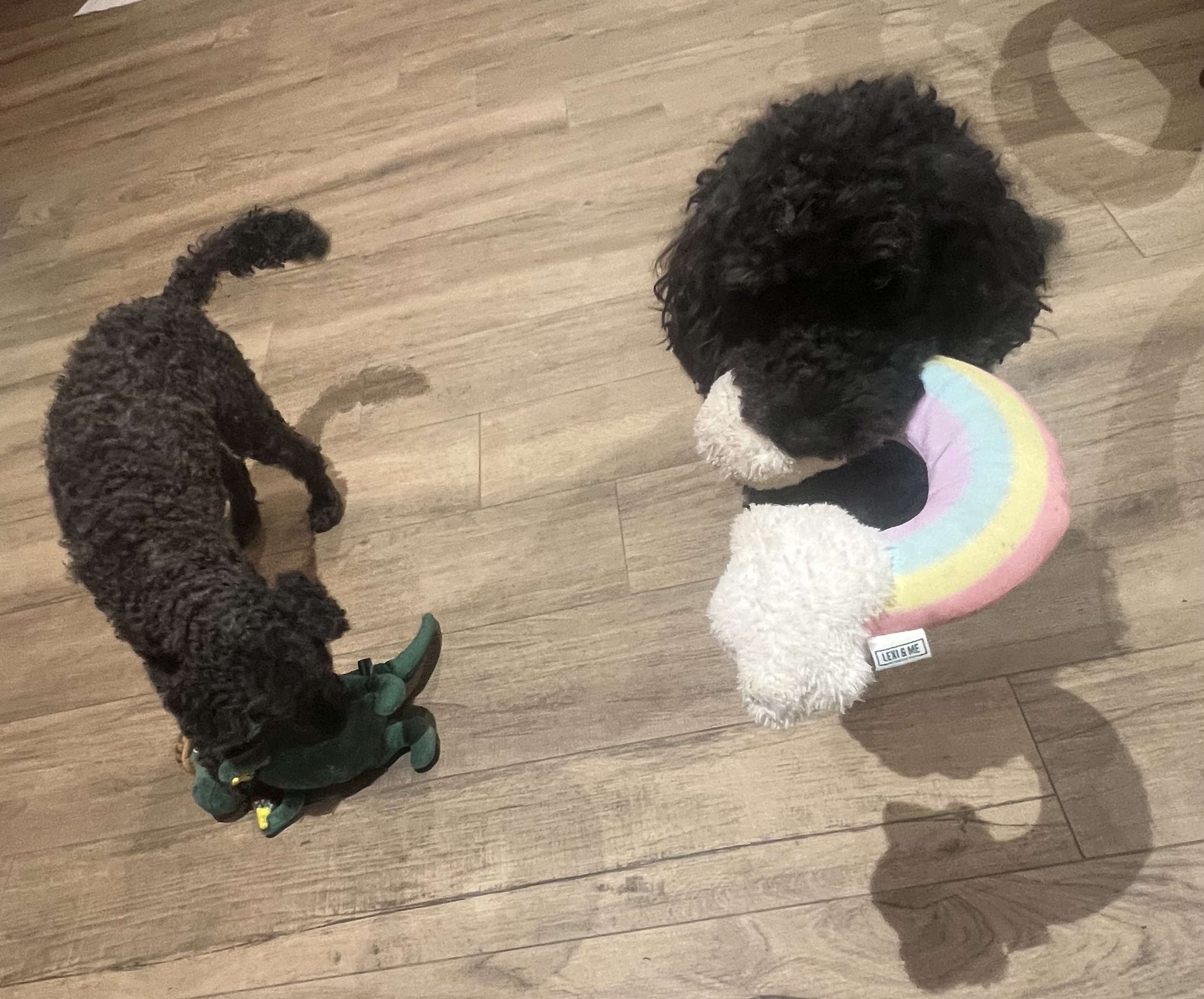 image-10