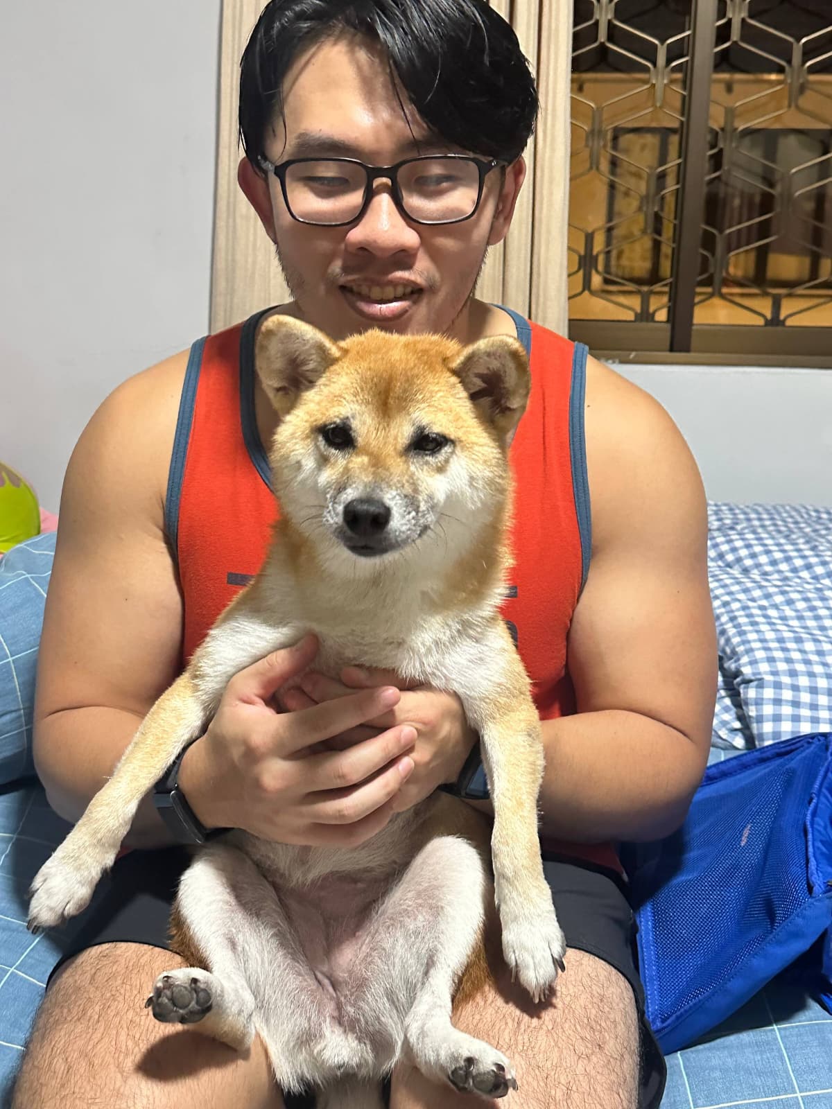 image-8