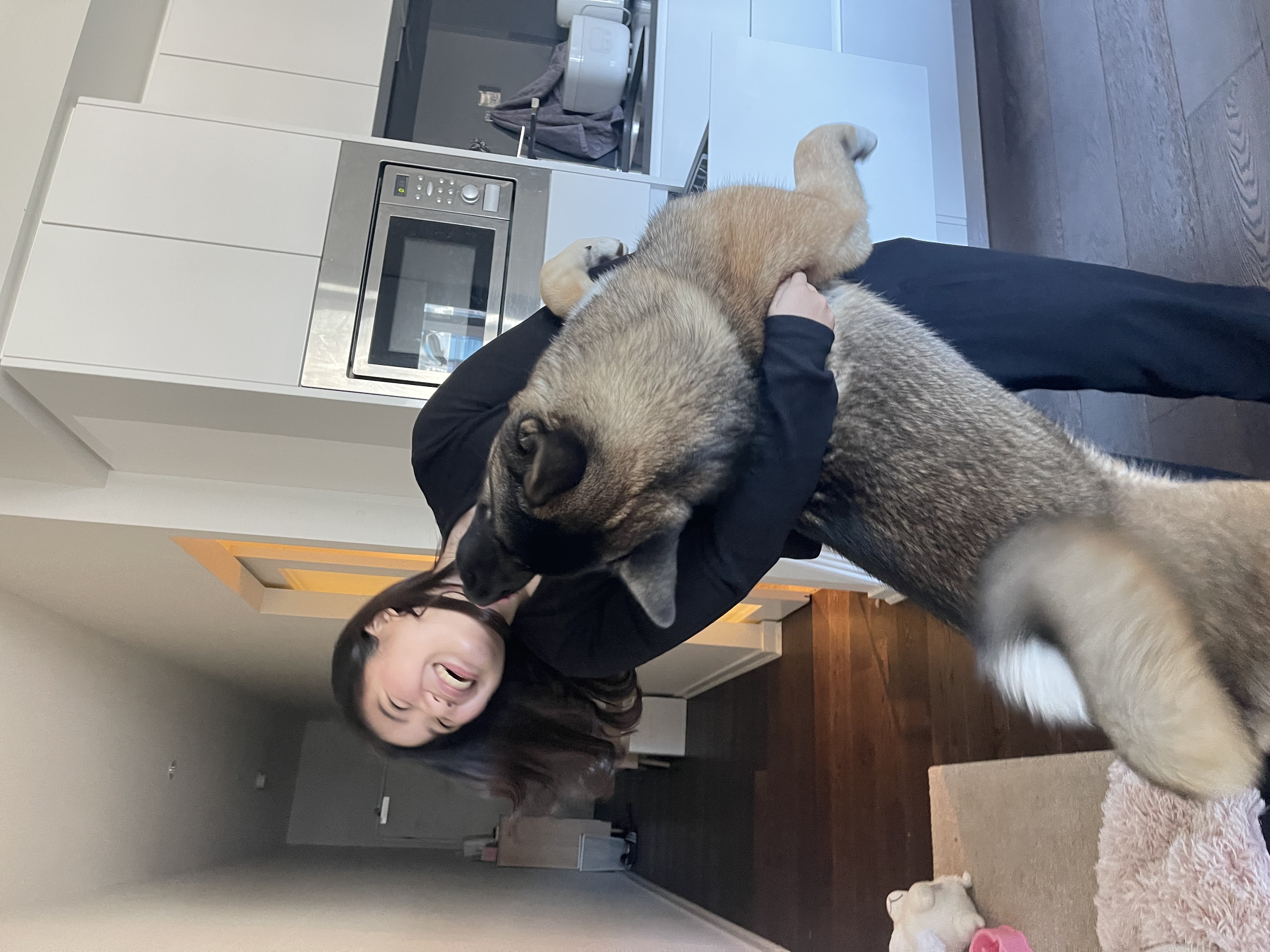 image-6