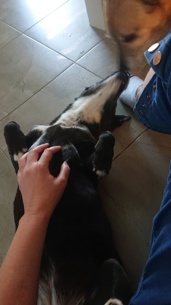image-13