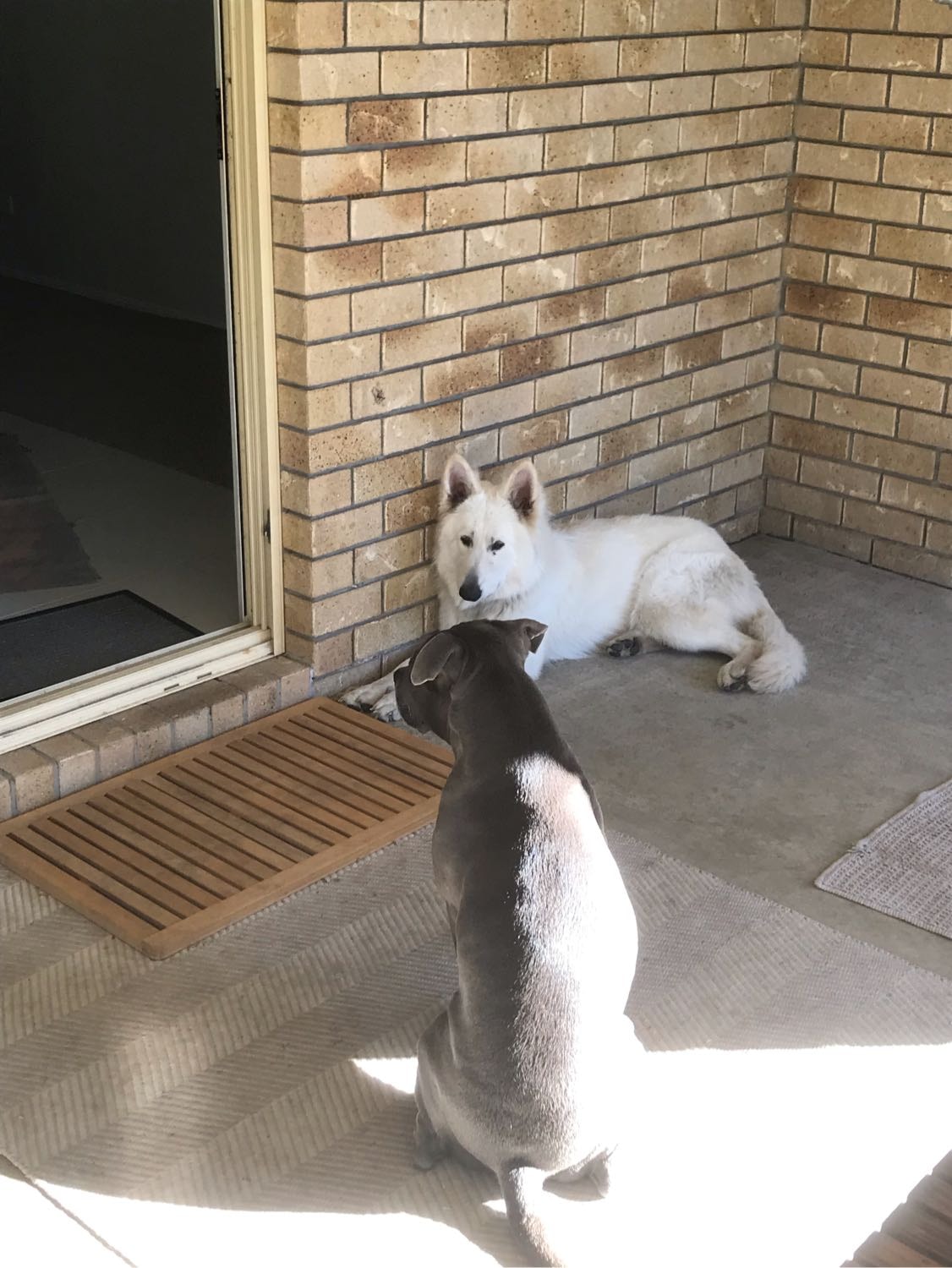 image-28
