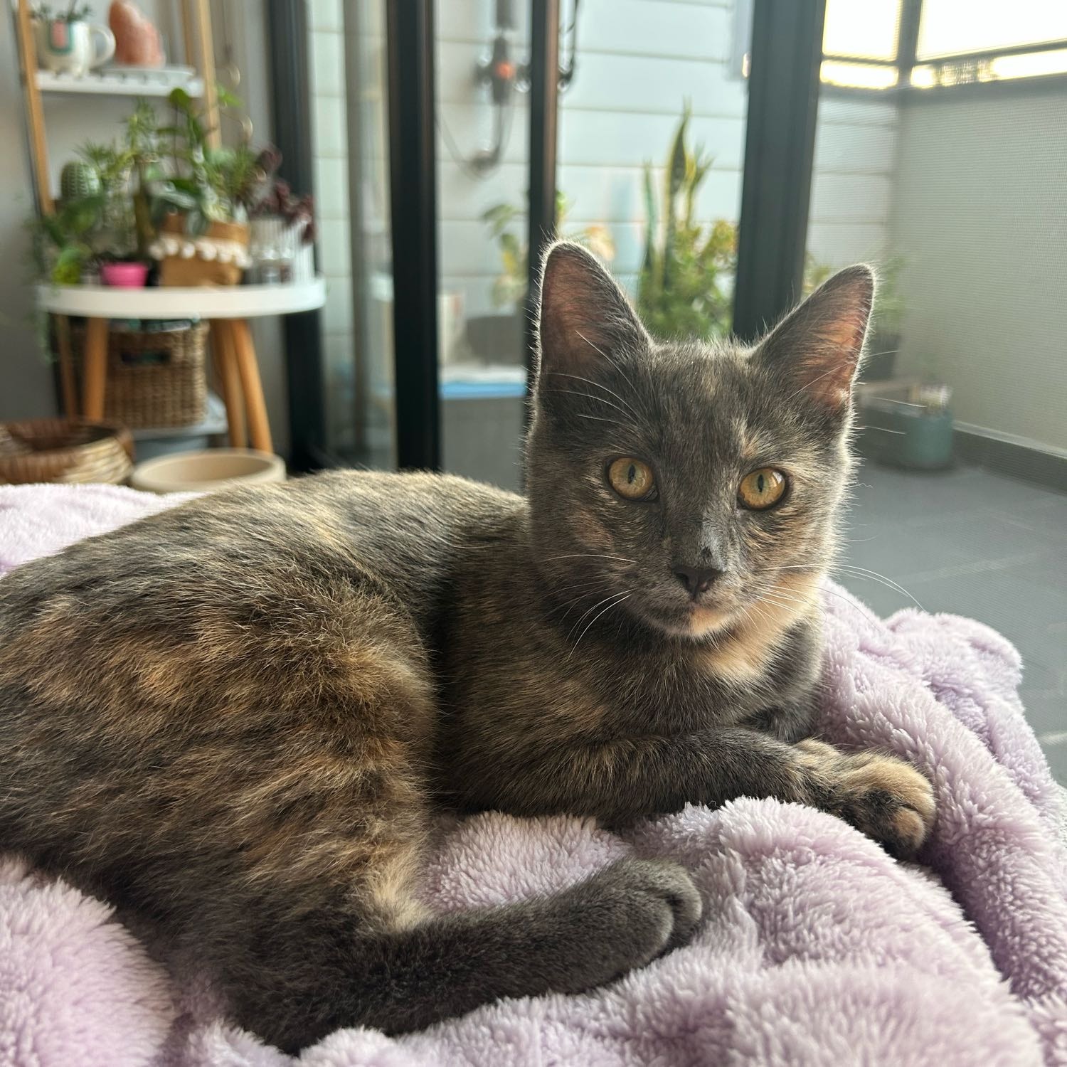 Delilah