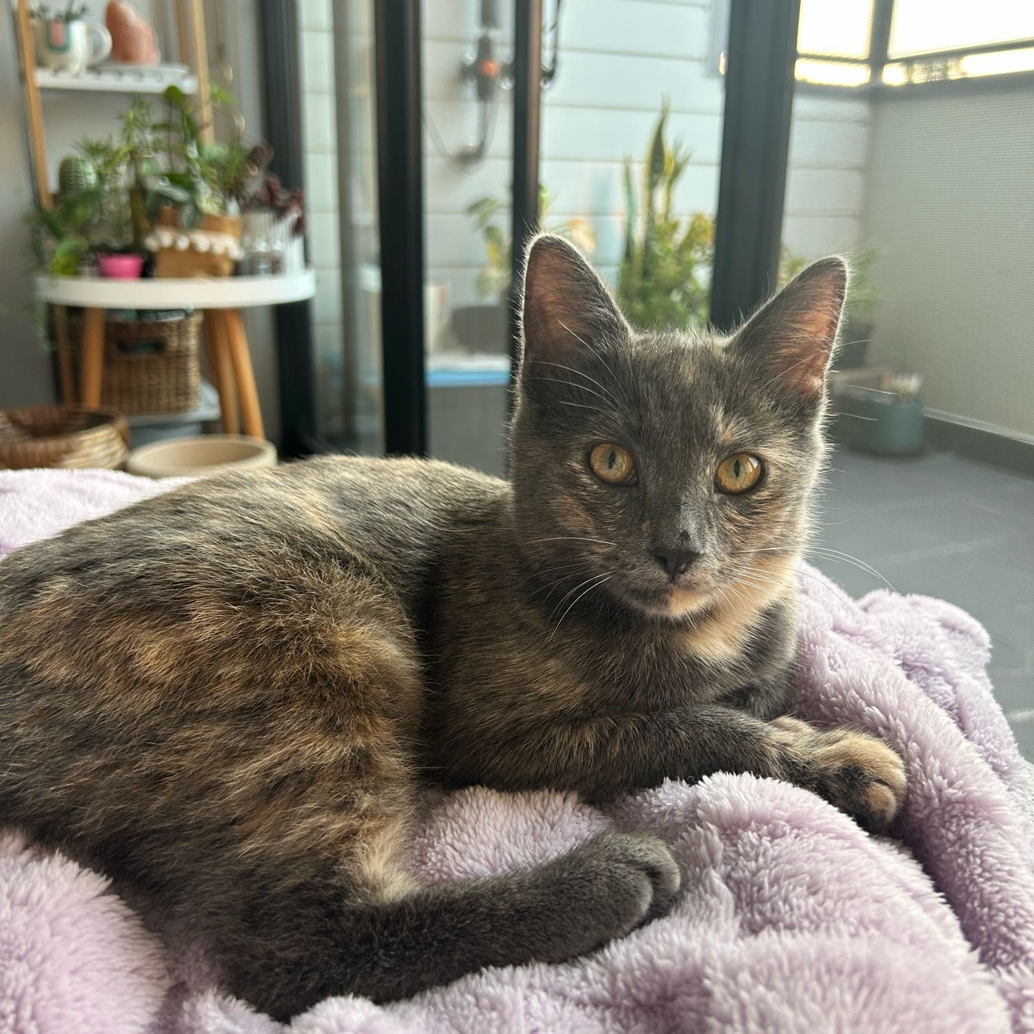 Delilah