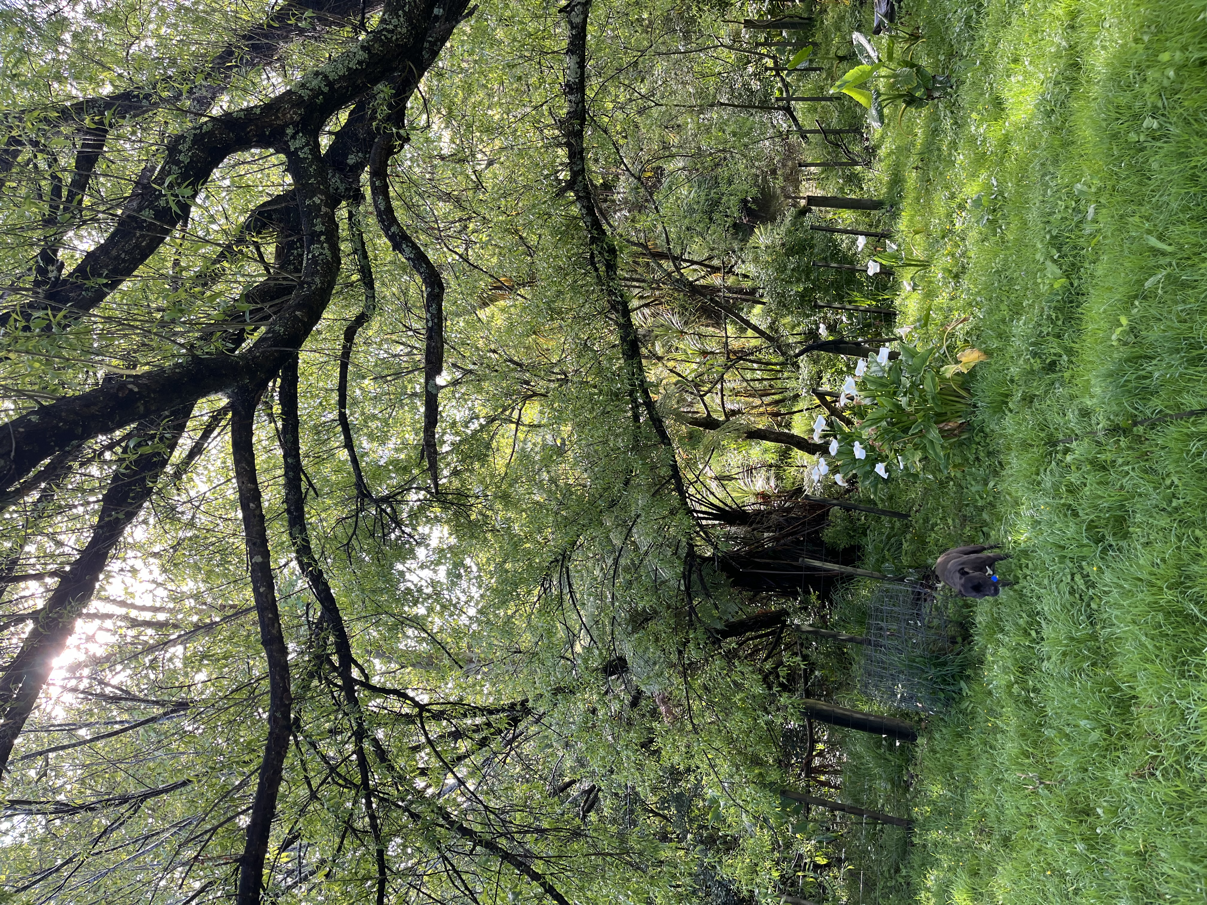 image-18
