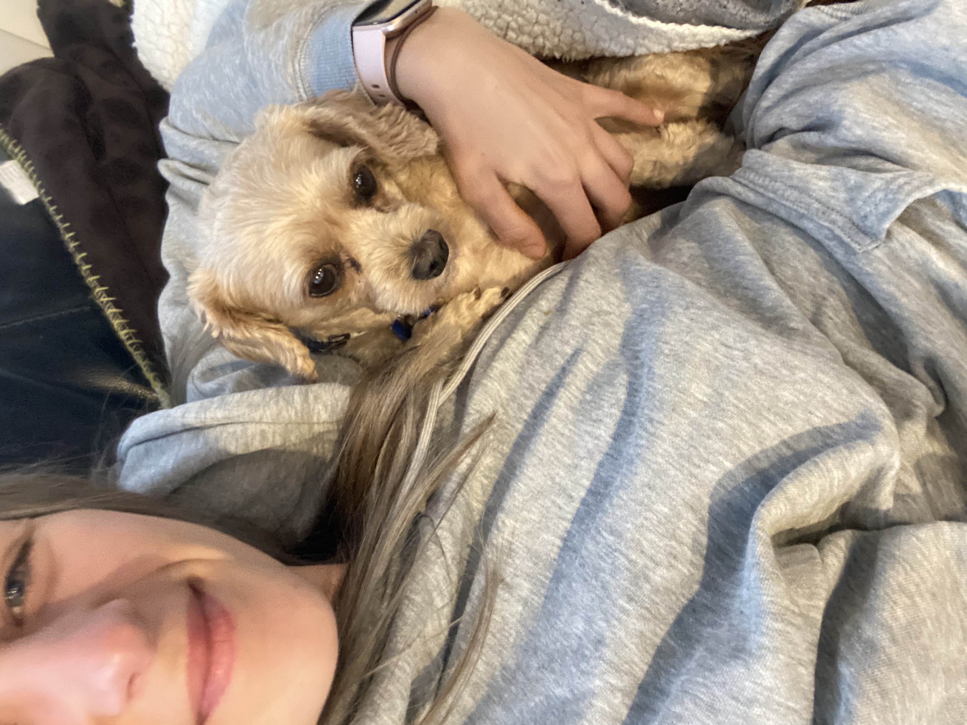 image-12