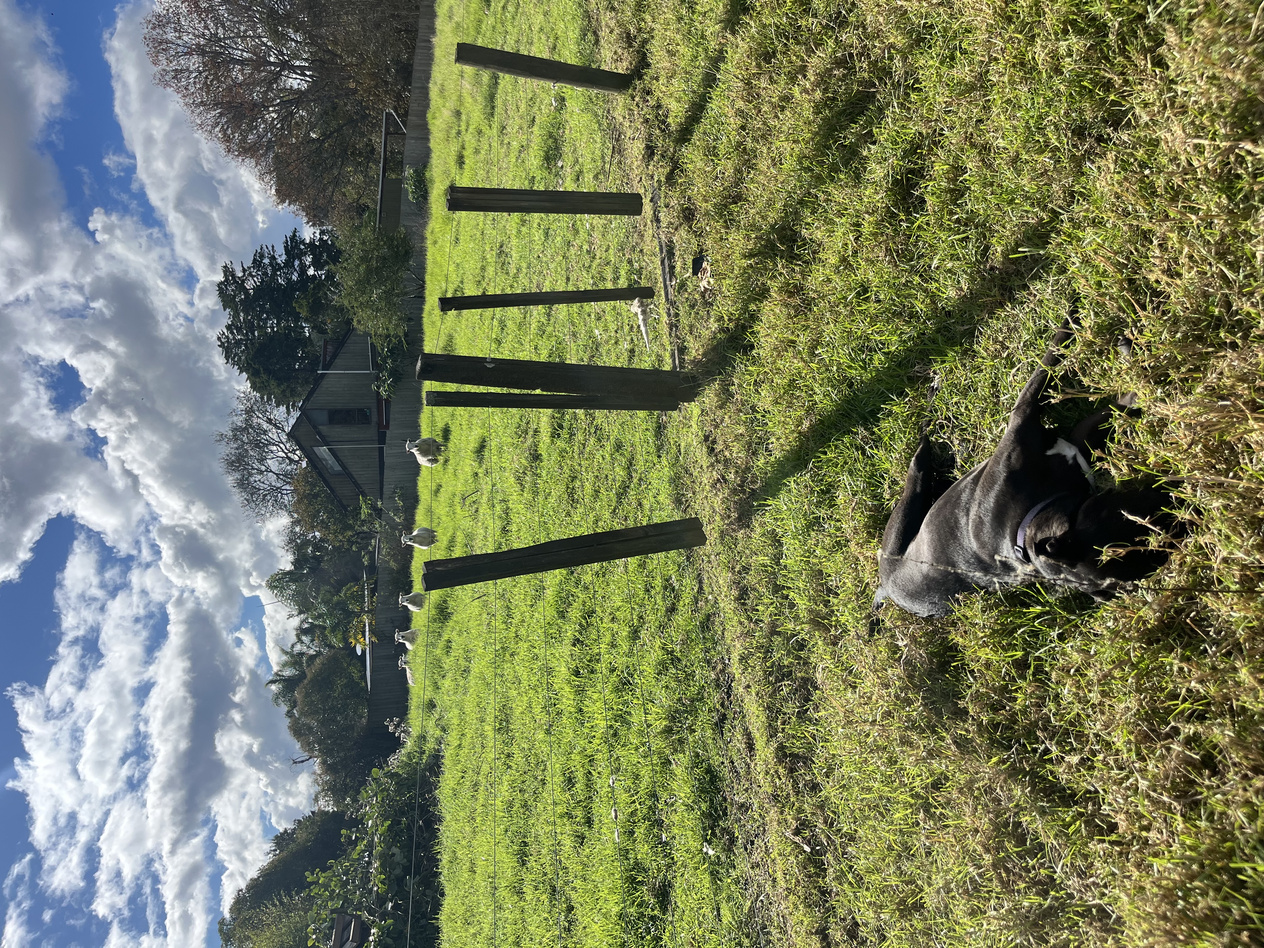 image-16