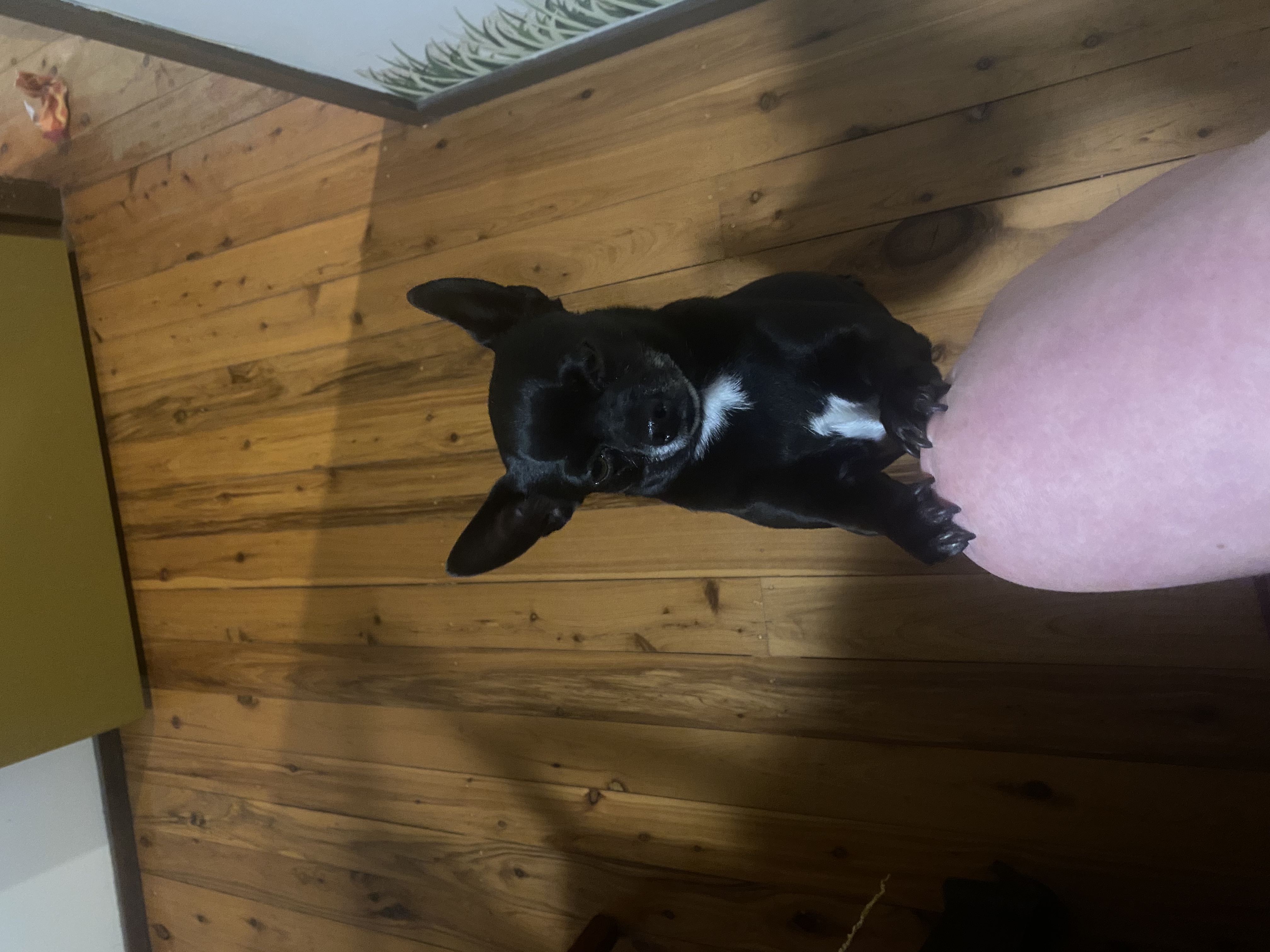 image-15