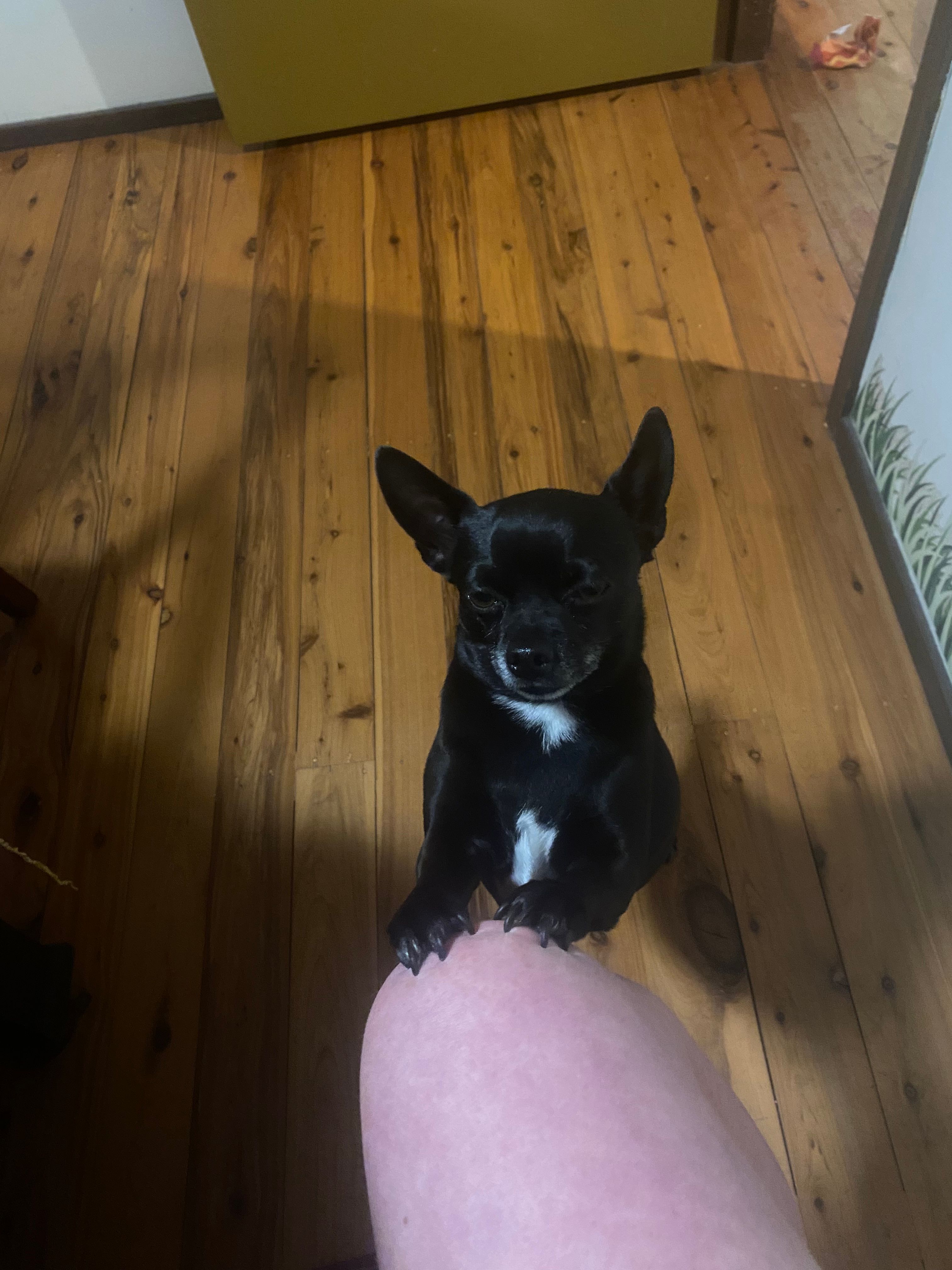 image-15