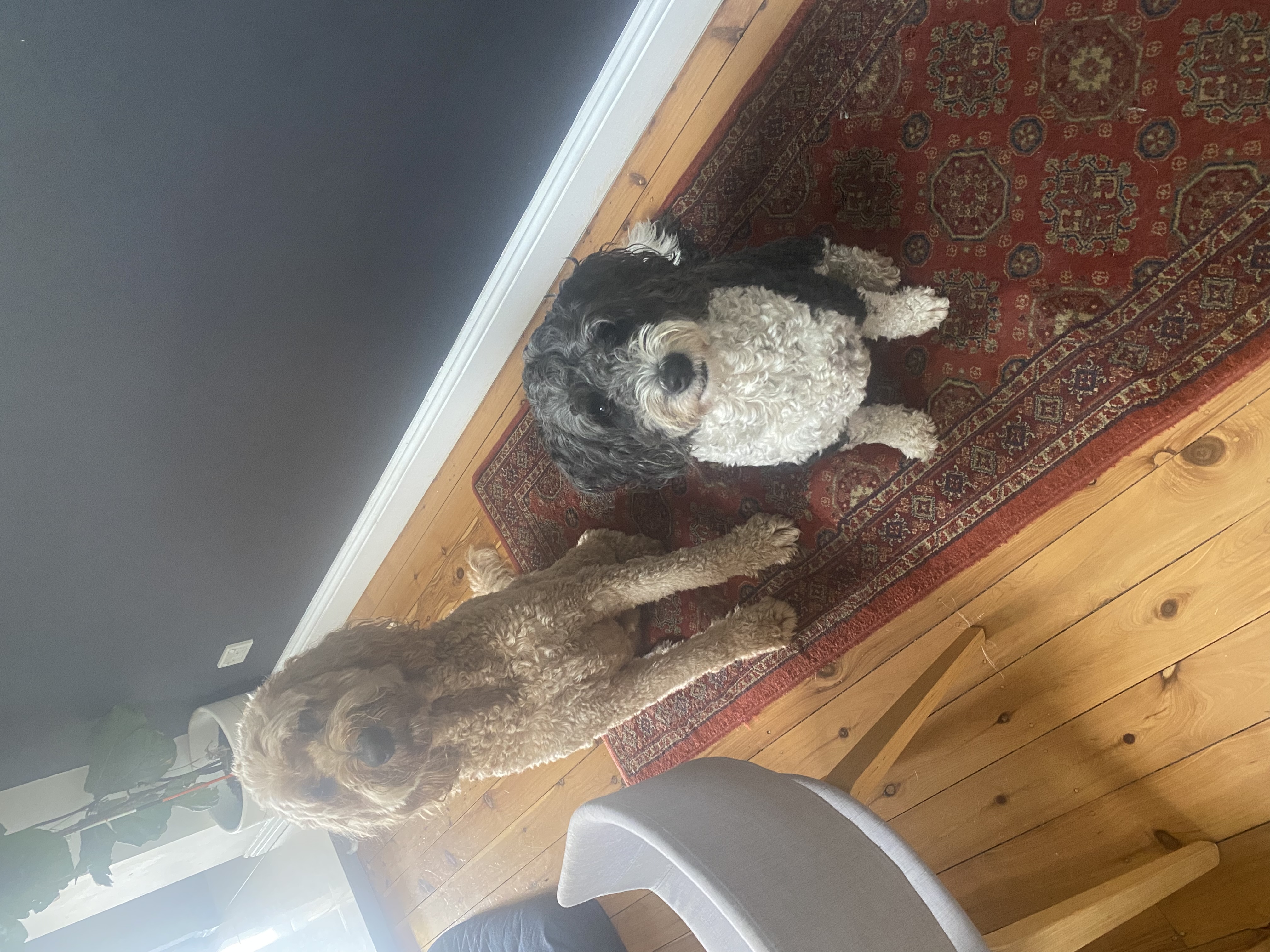 image-10