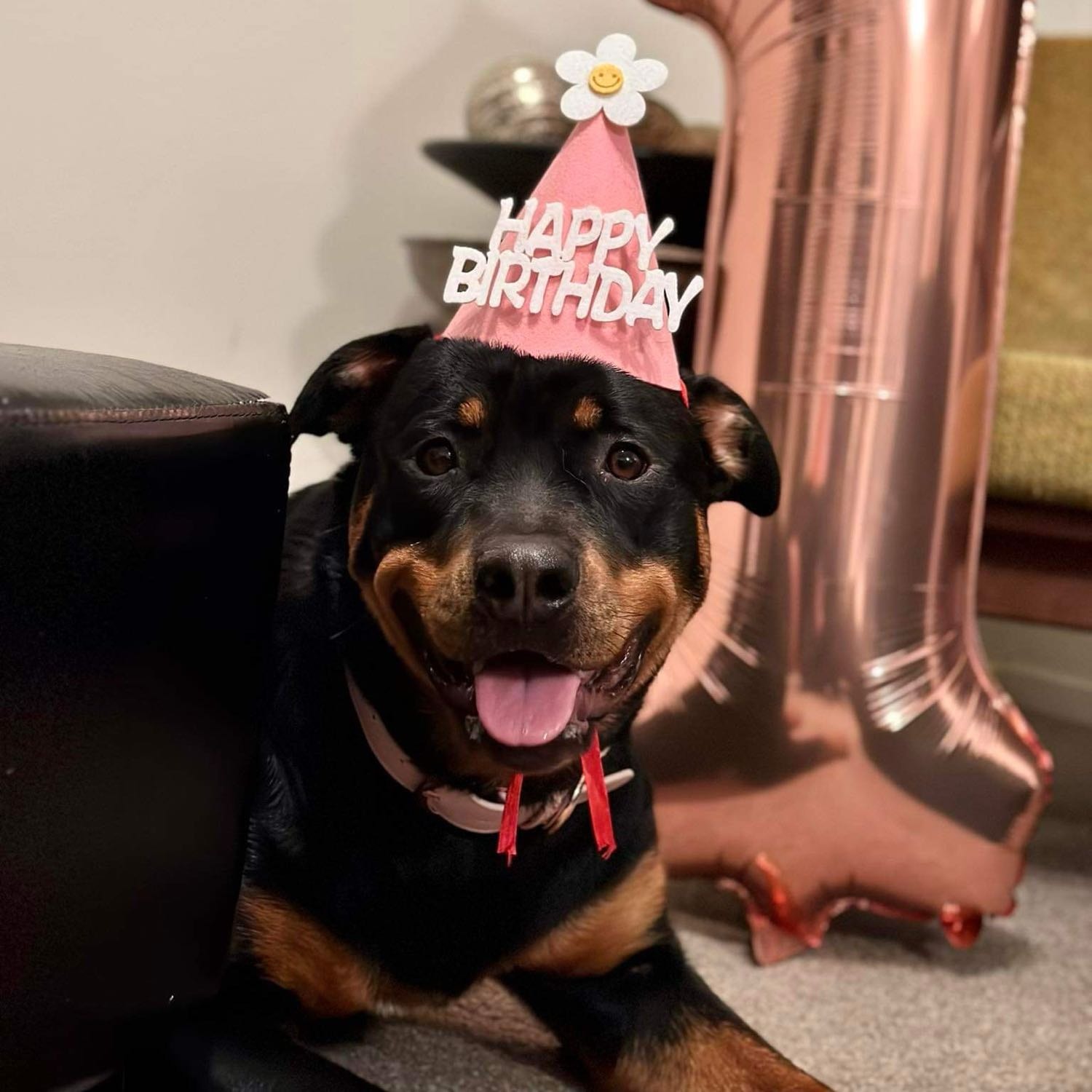 Layla 