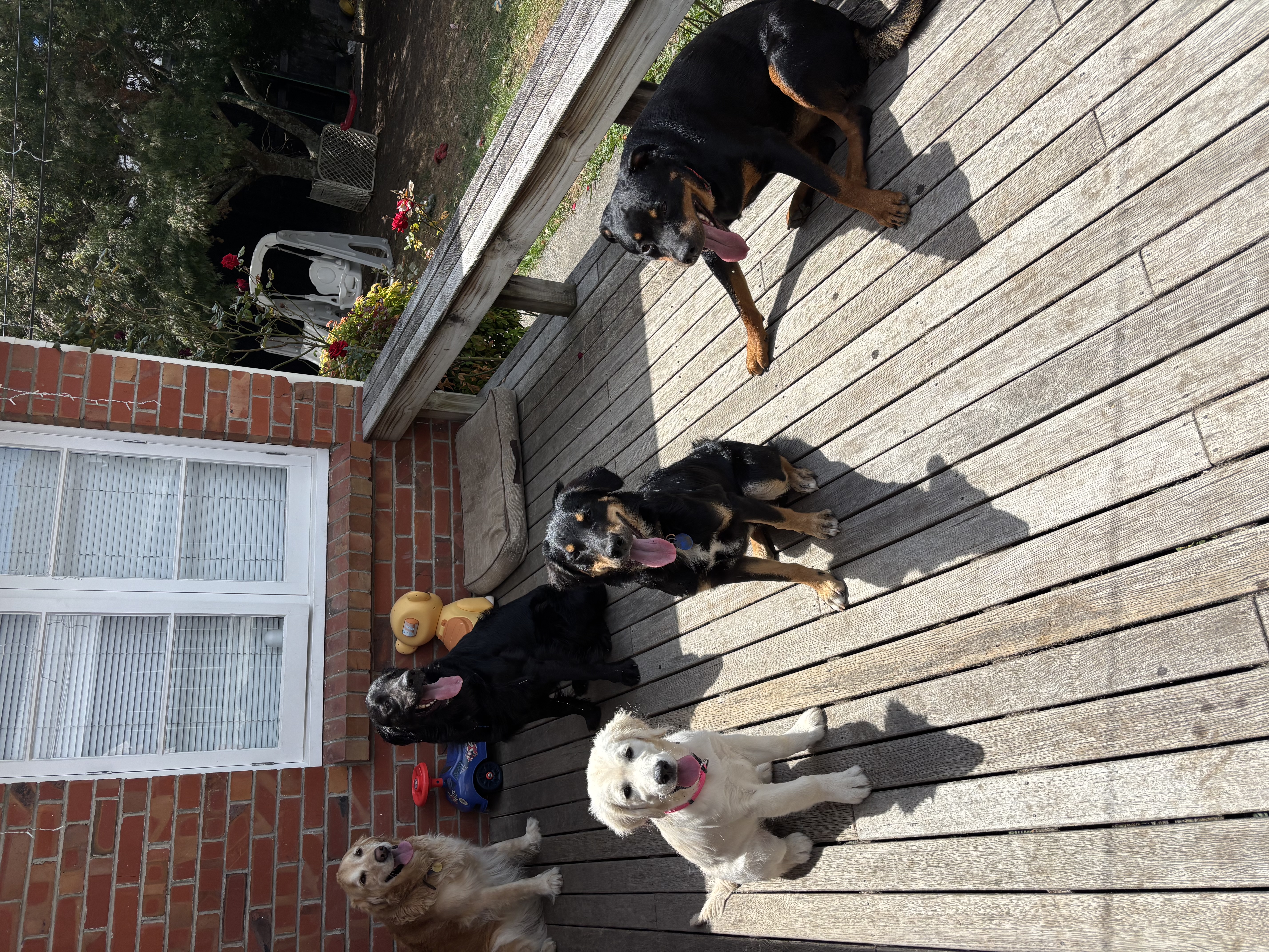 image-11