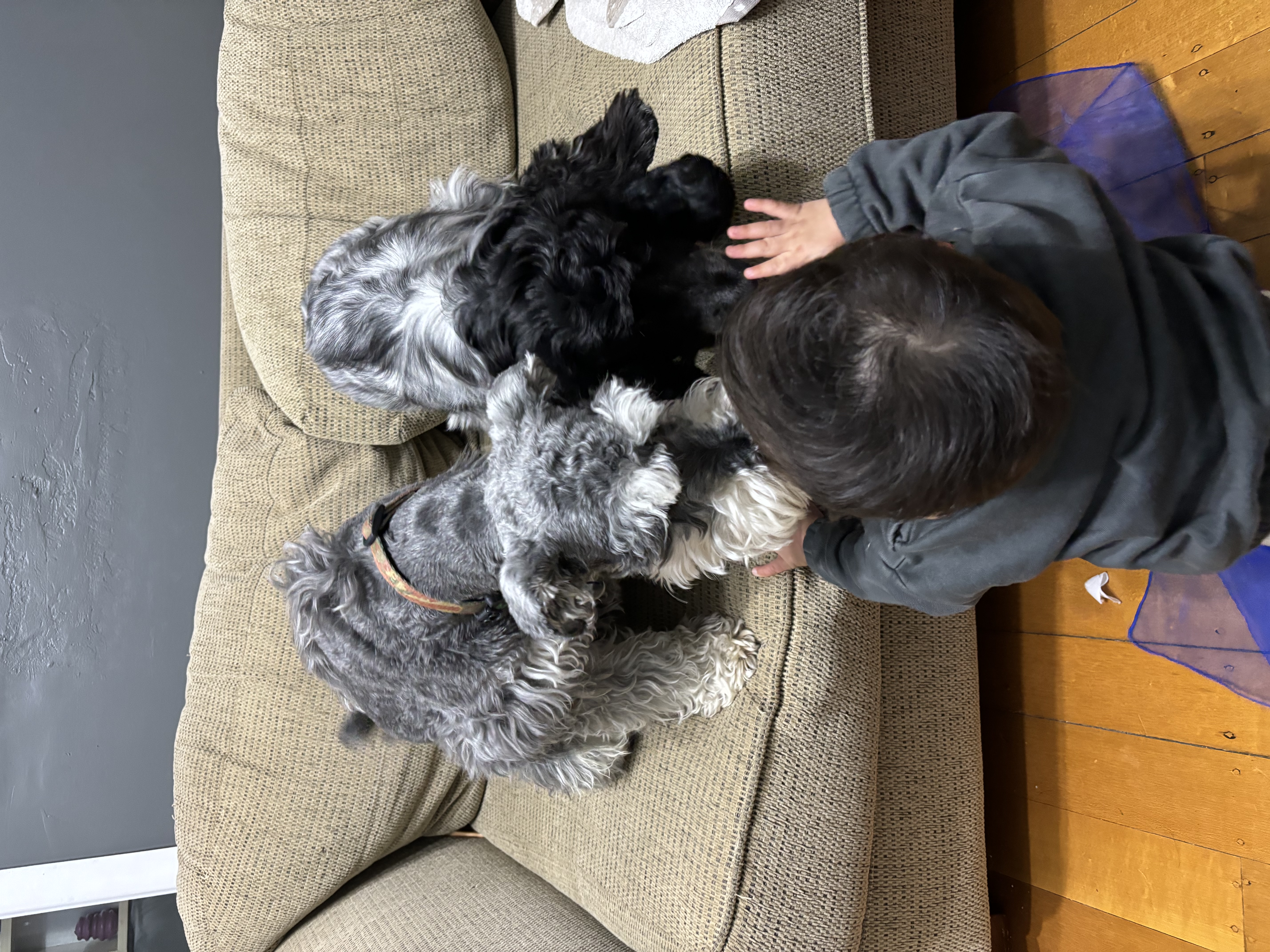 image-7