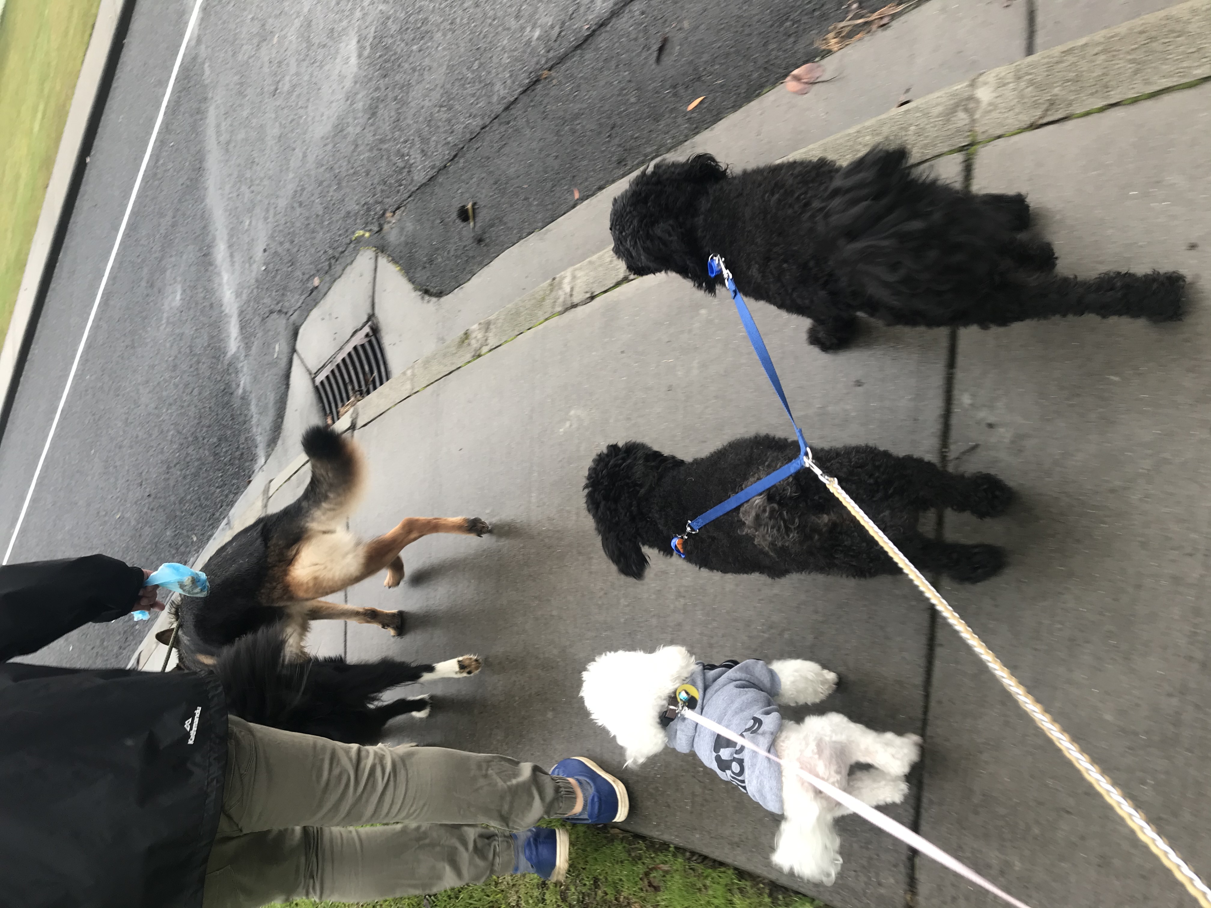 image-18