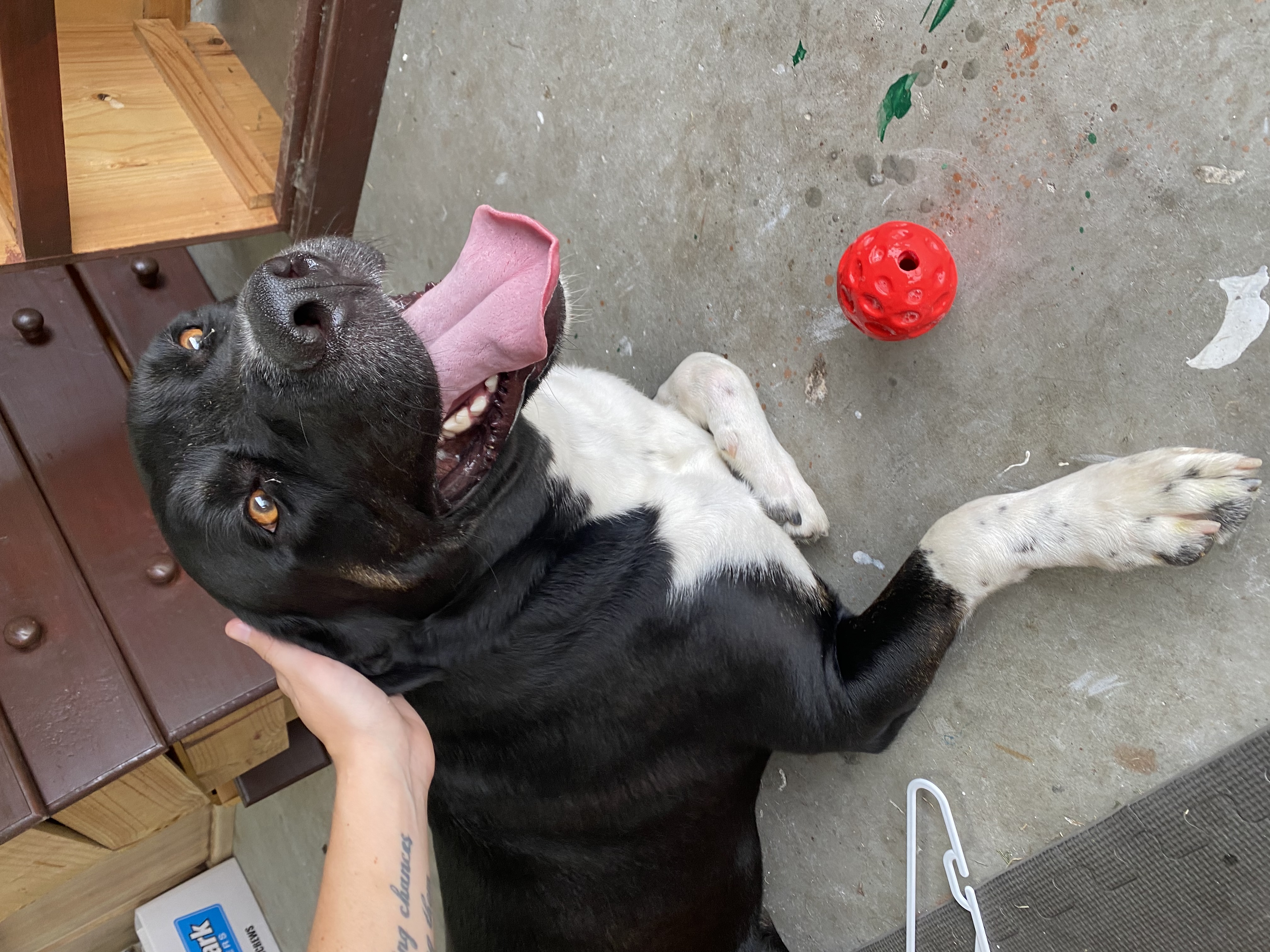 image-5