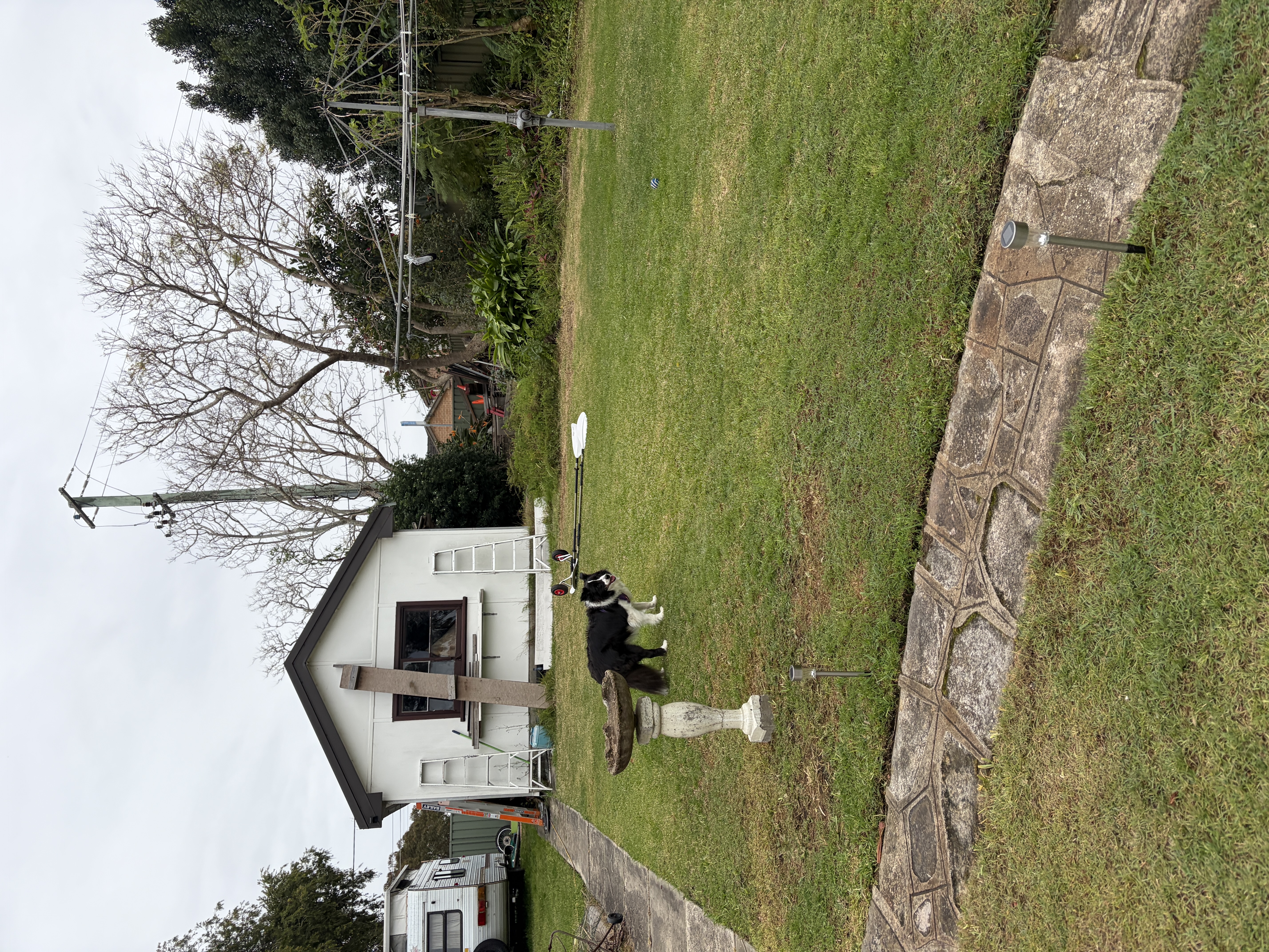 image-20