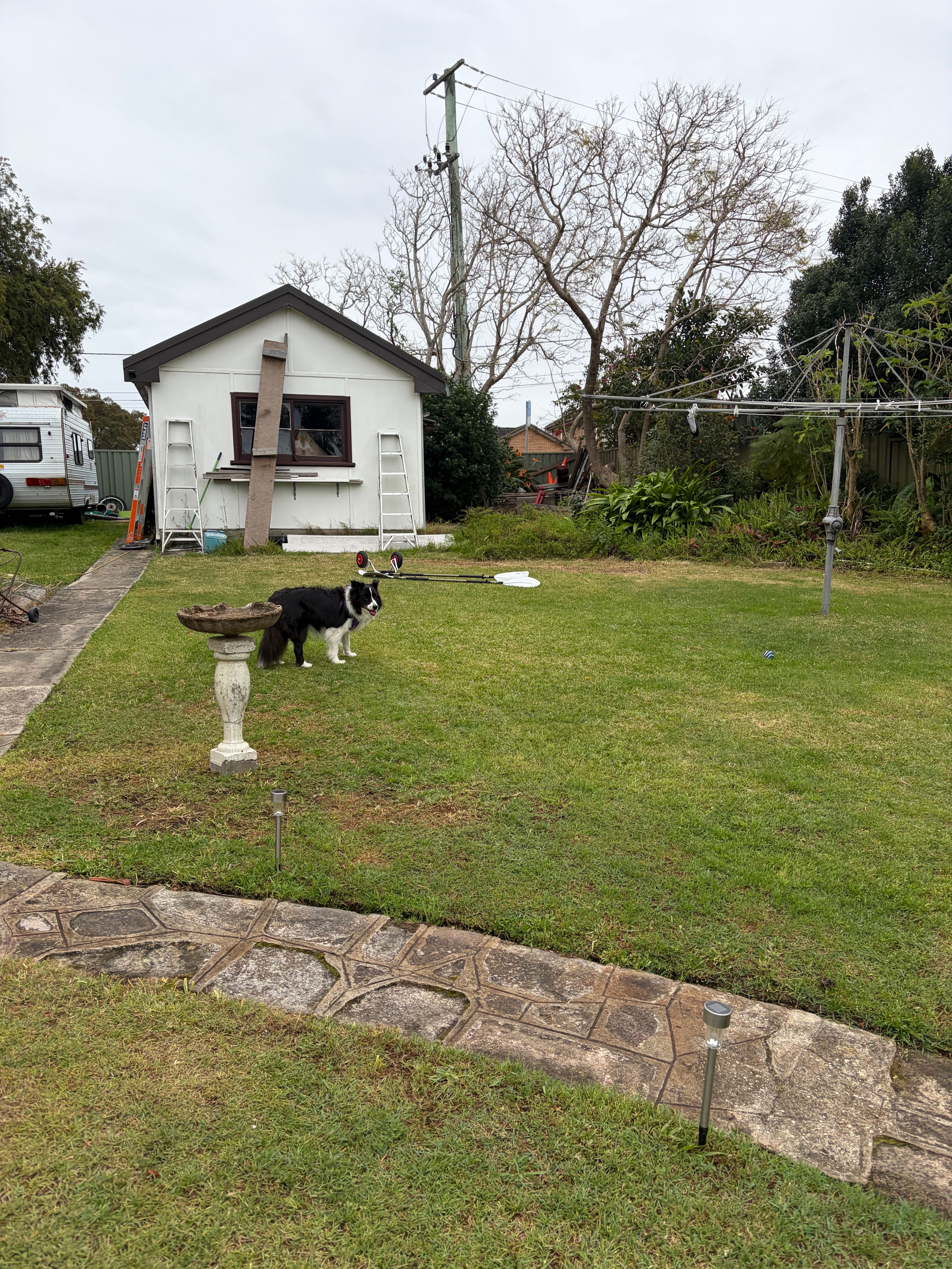 image-20