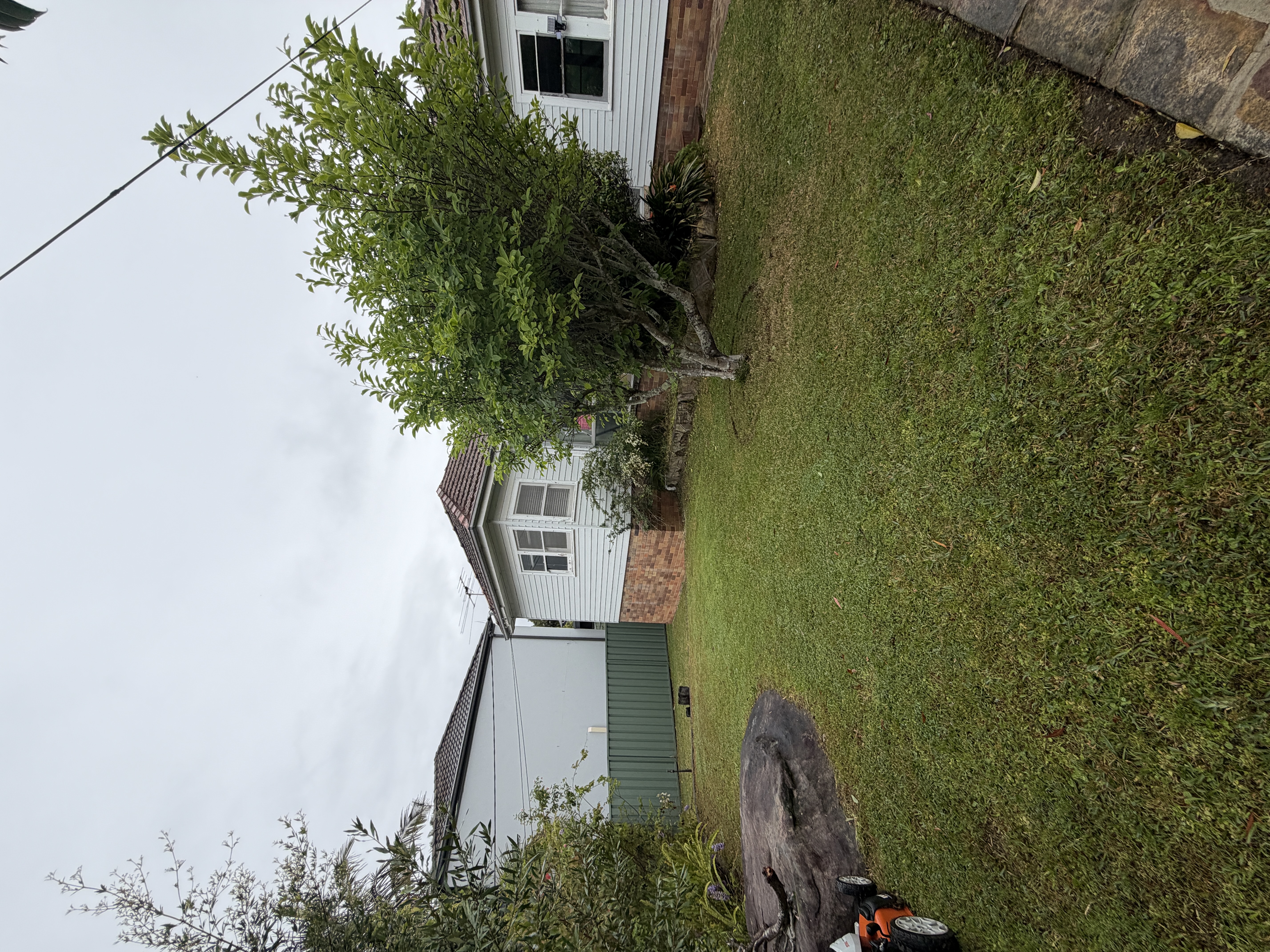 image-19