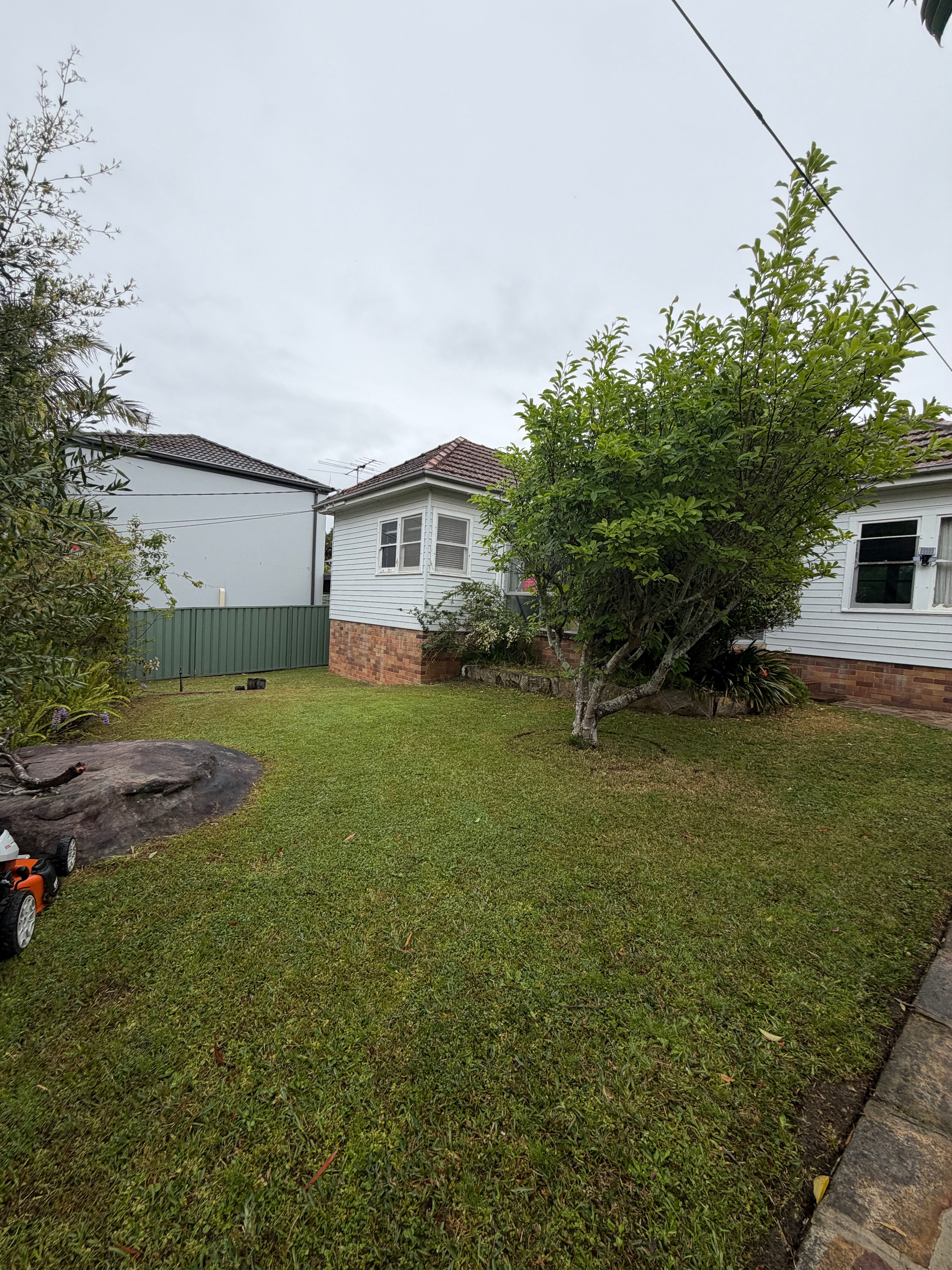 image-19