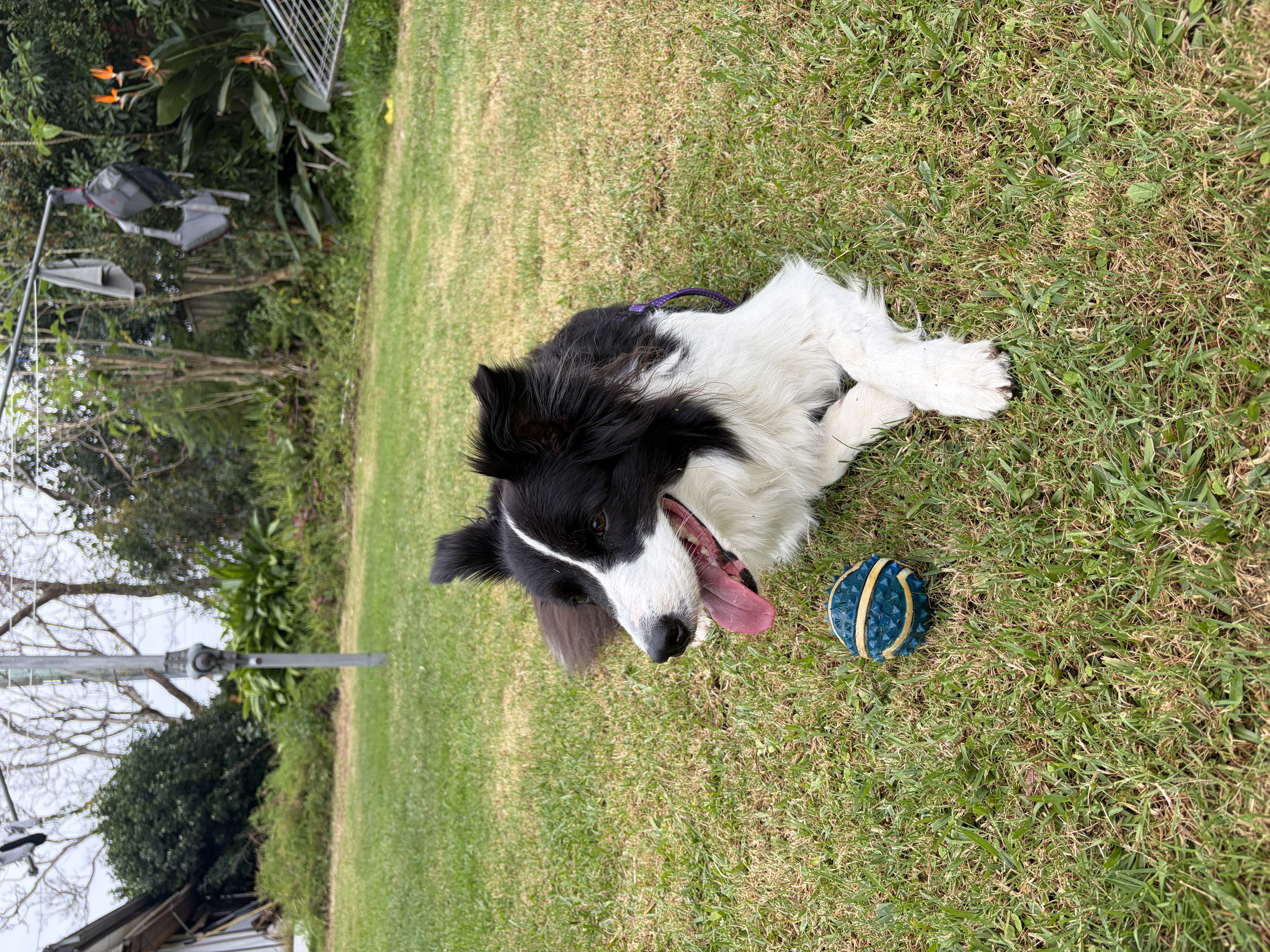 image-16
