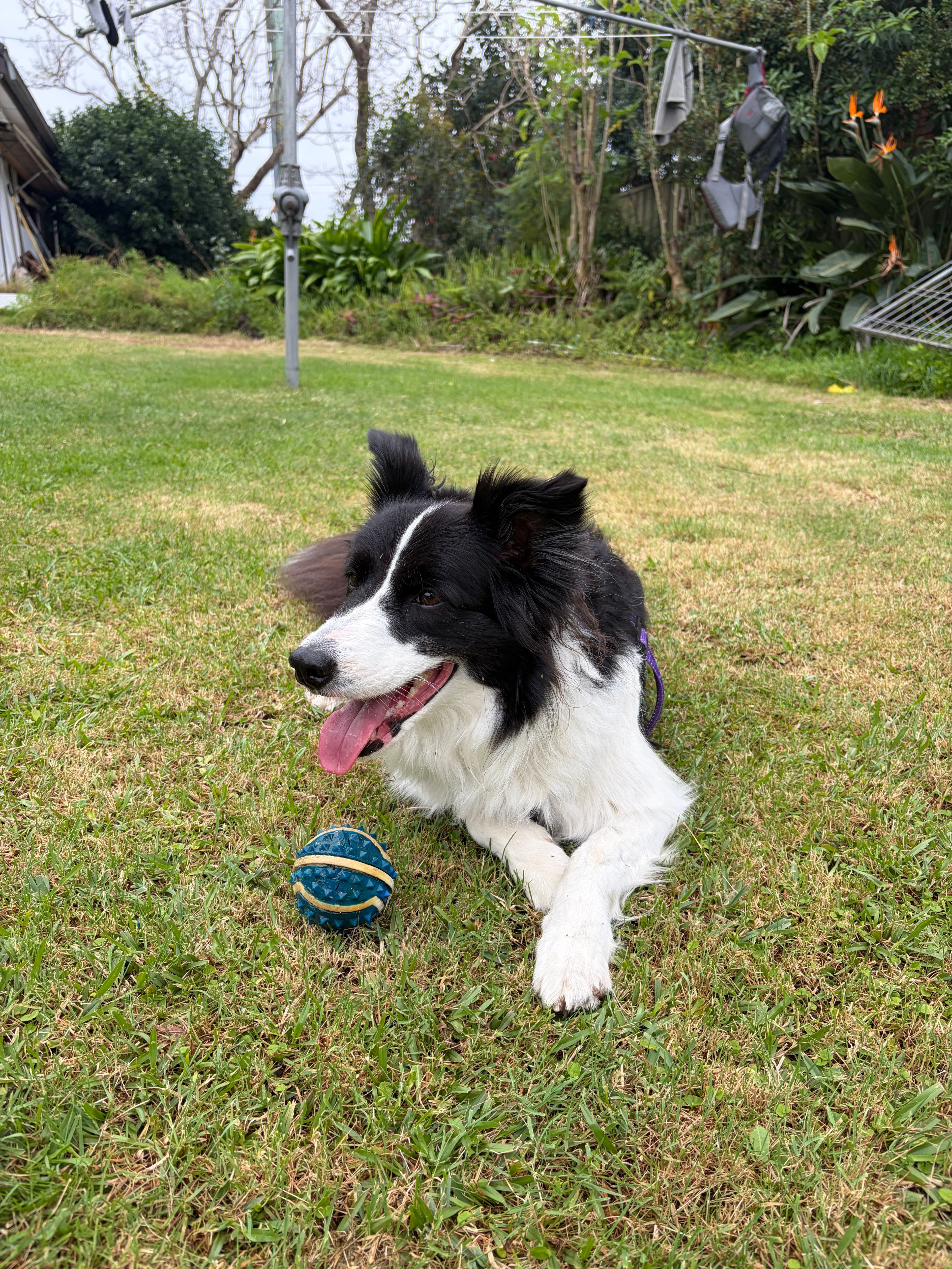 image-16