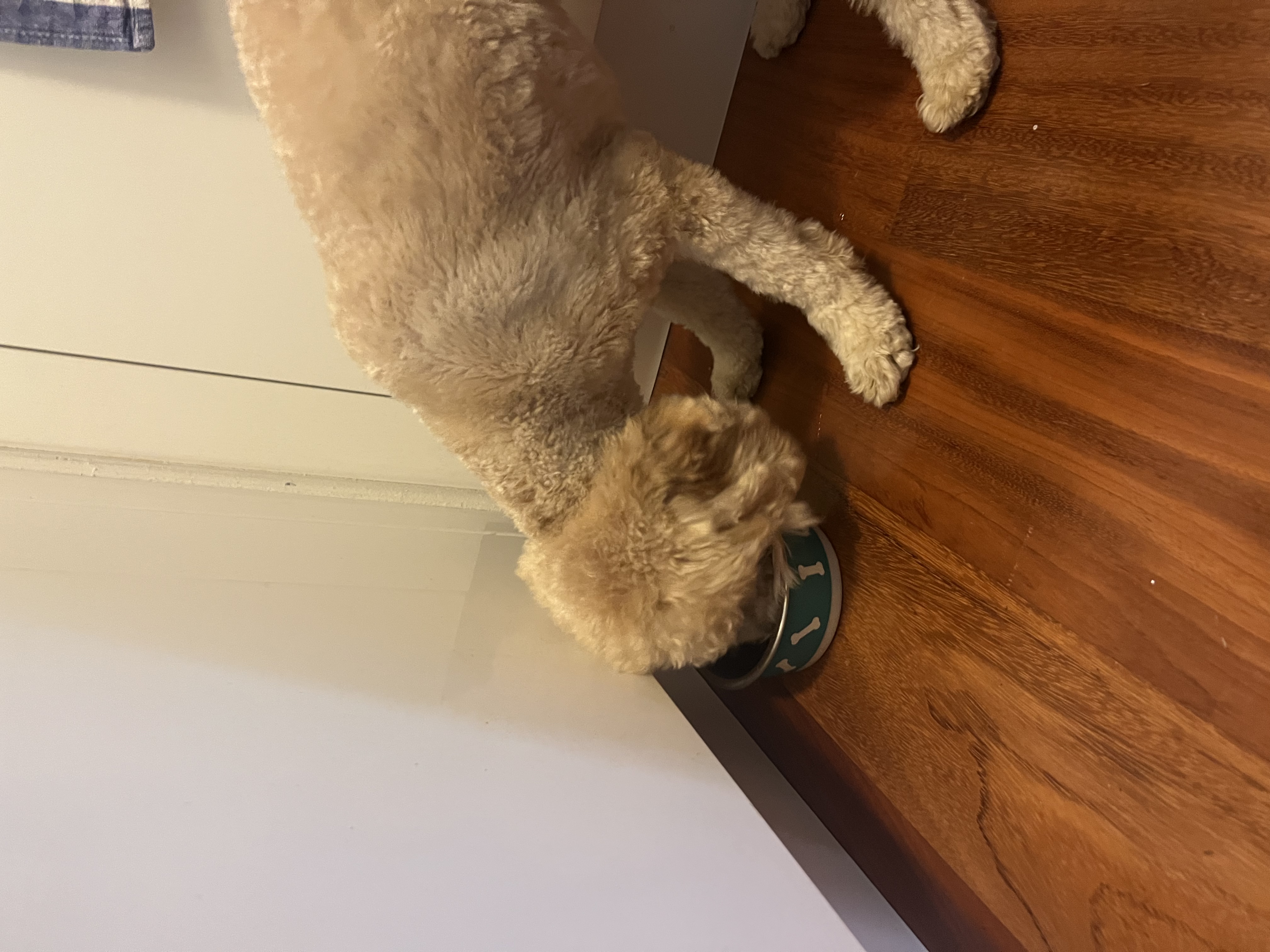 image-13