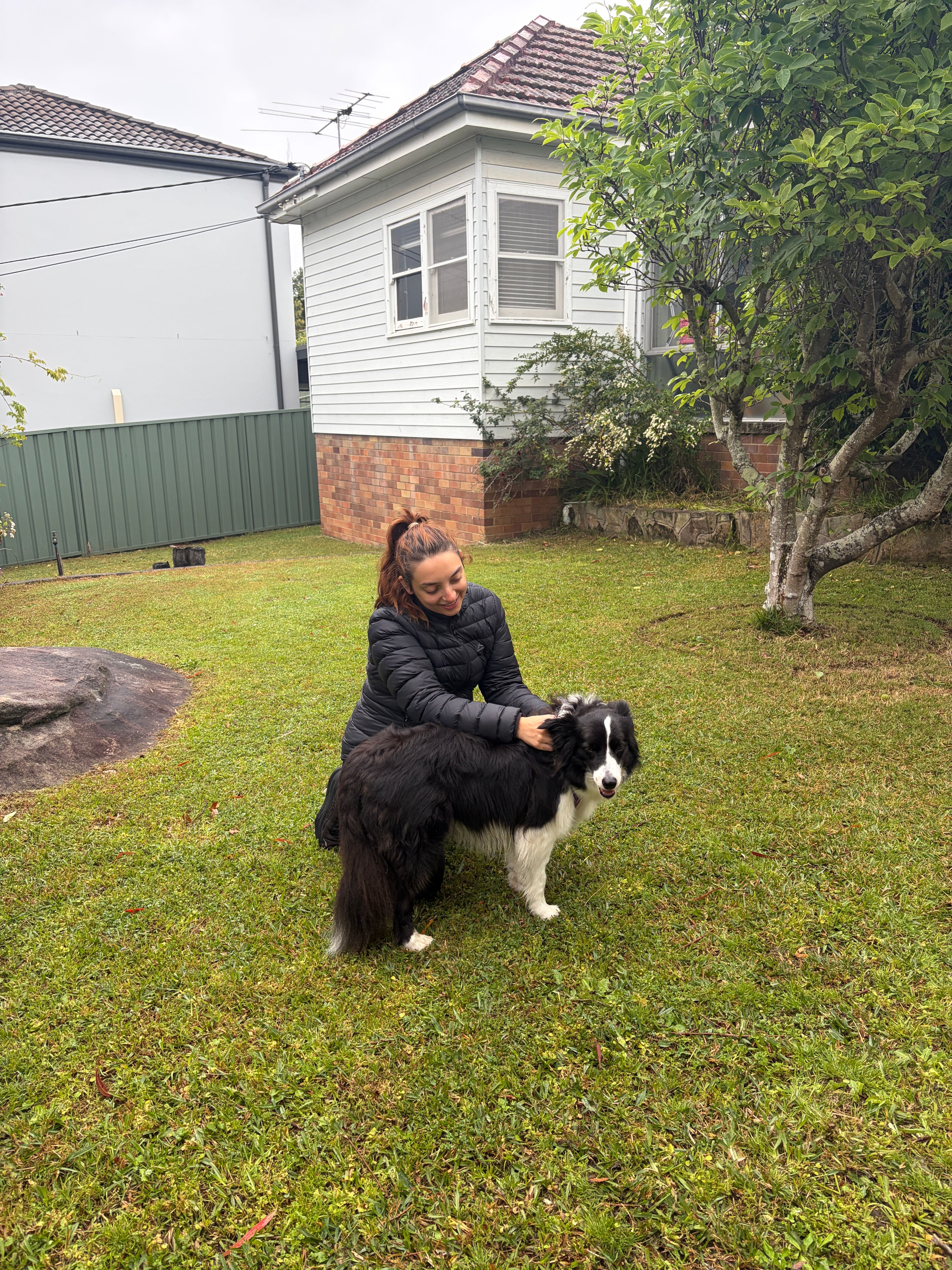 image-17