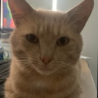 OJ