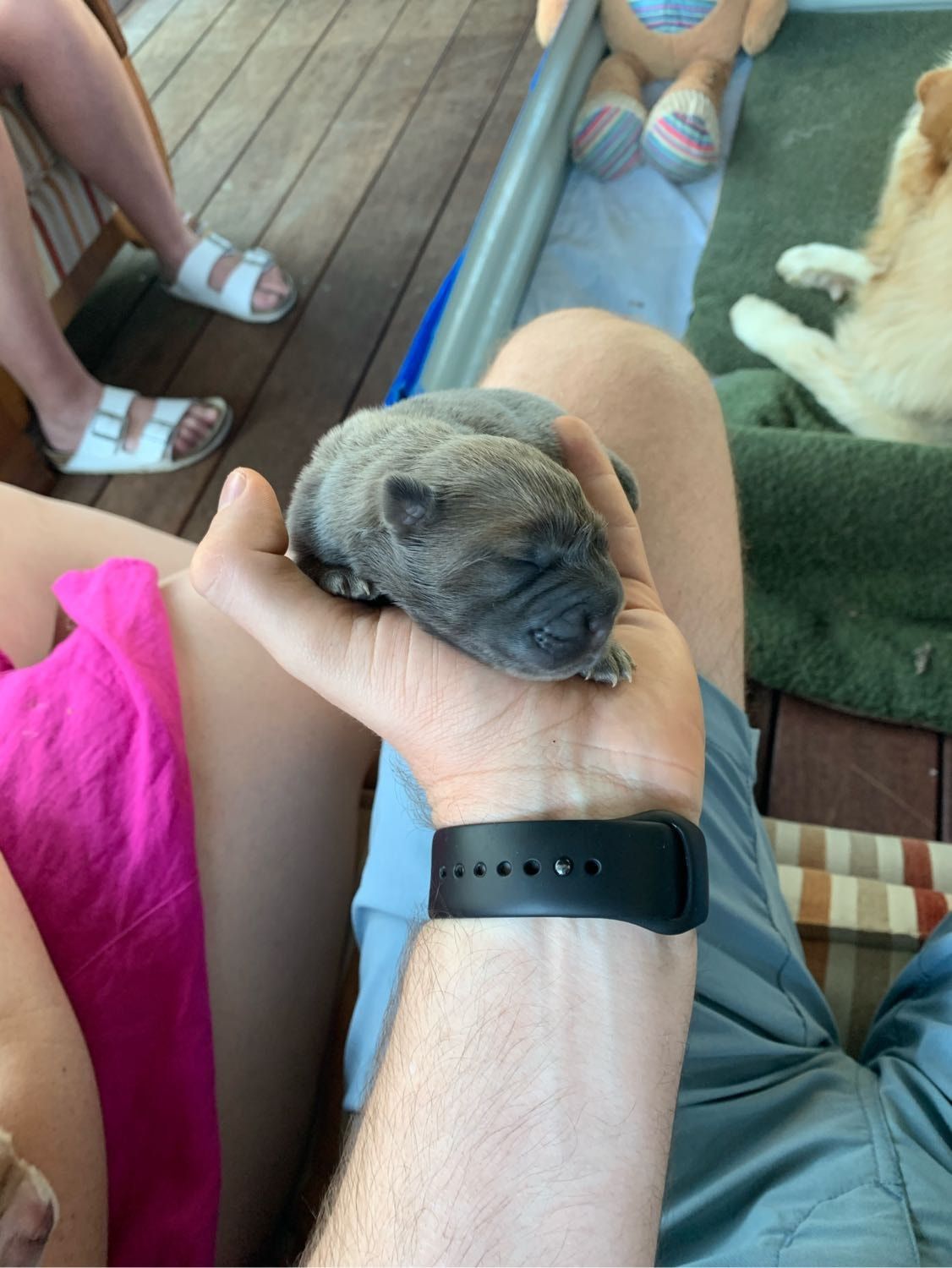image-4