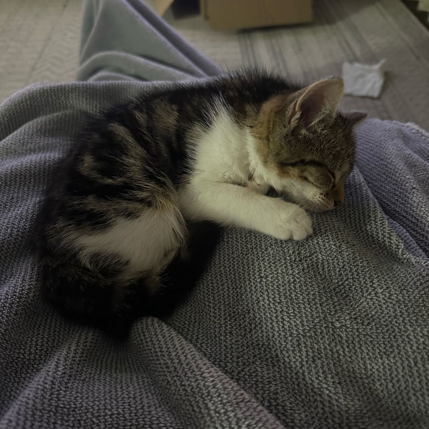 Winnie