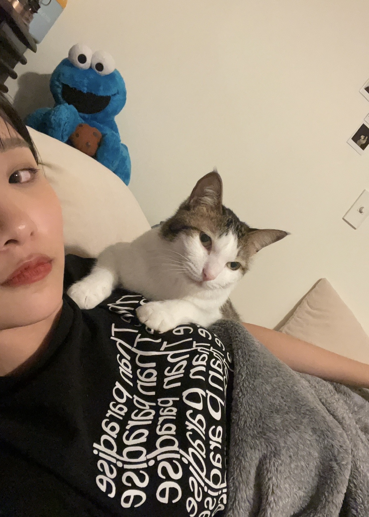 image-9