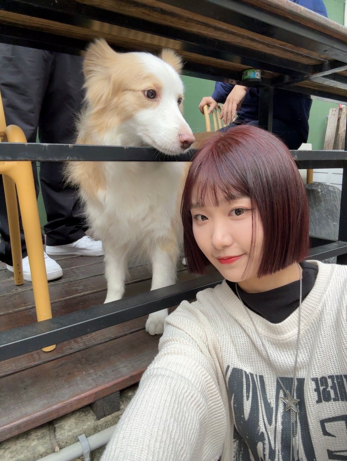 image-5