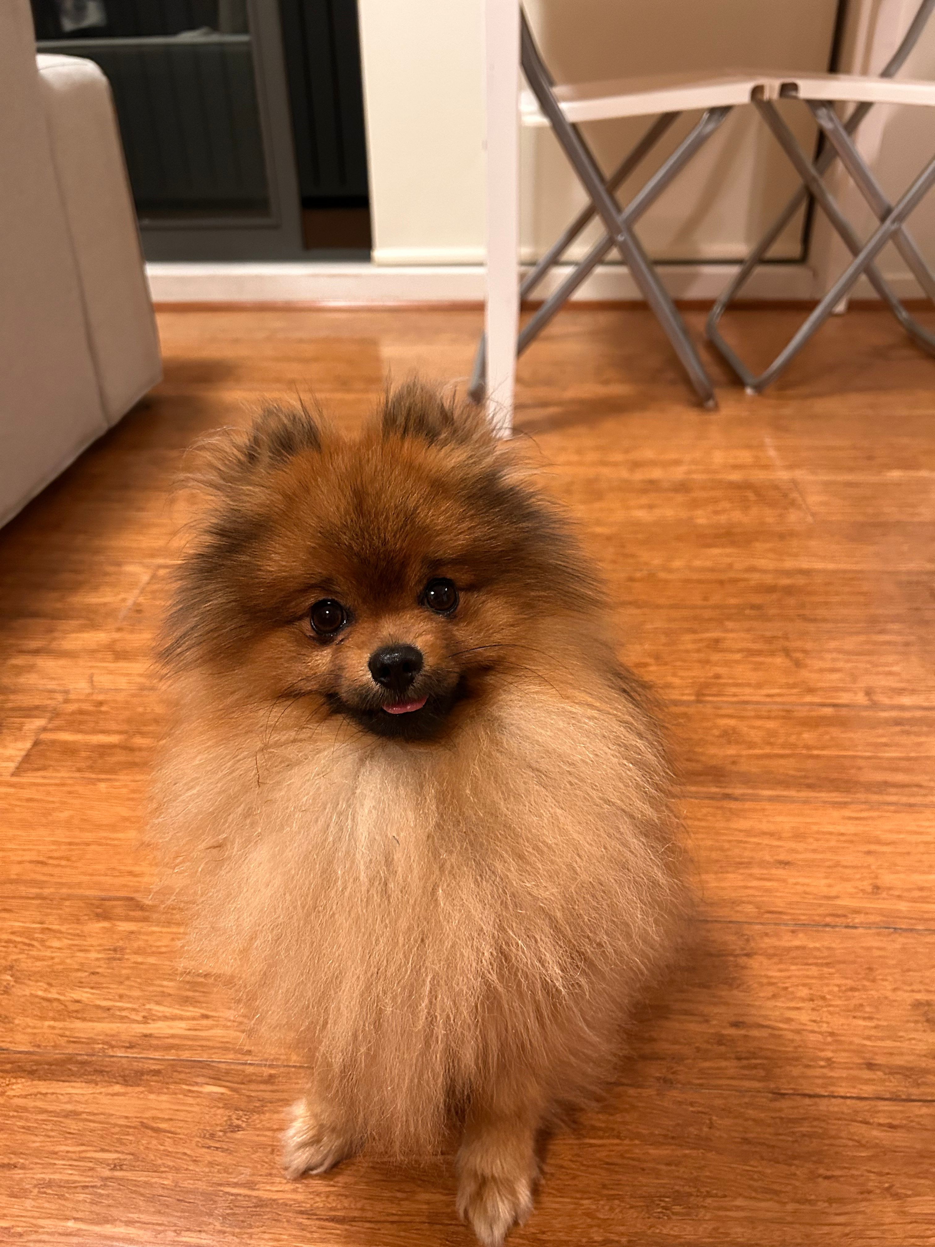 image-2