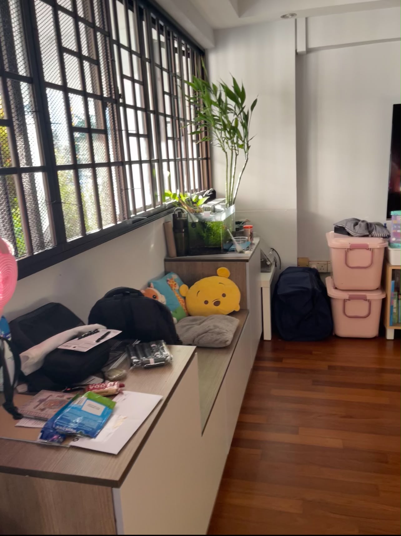 image-11