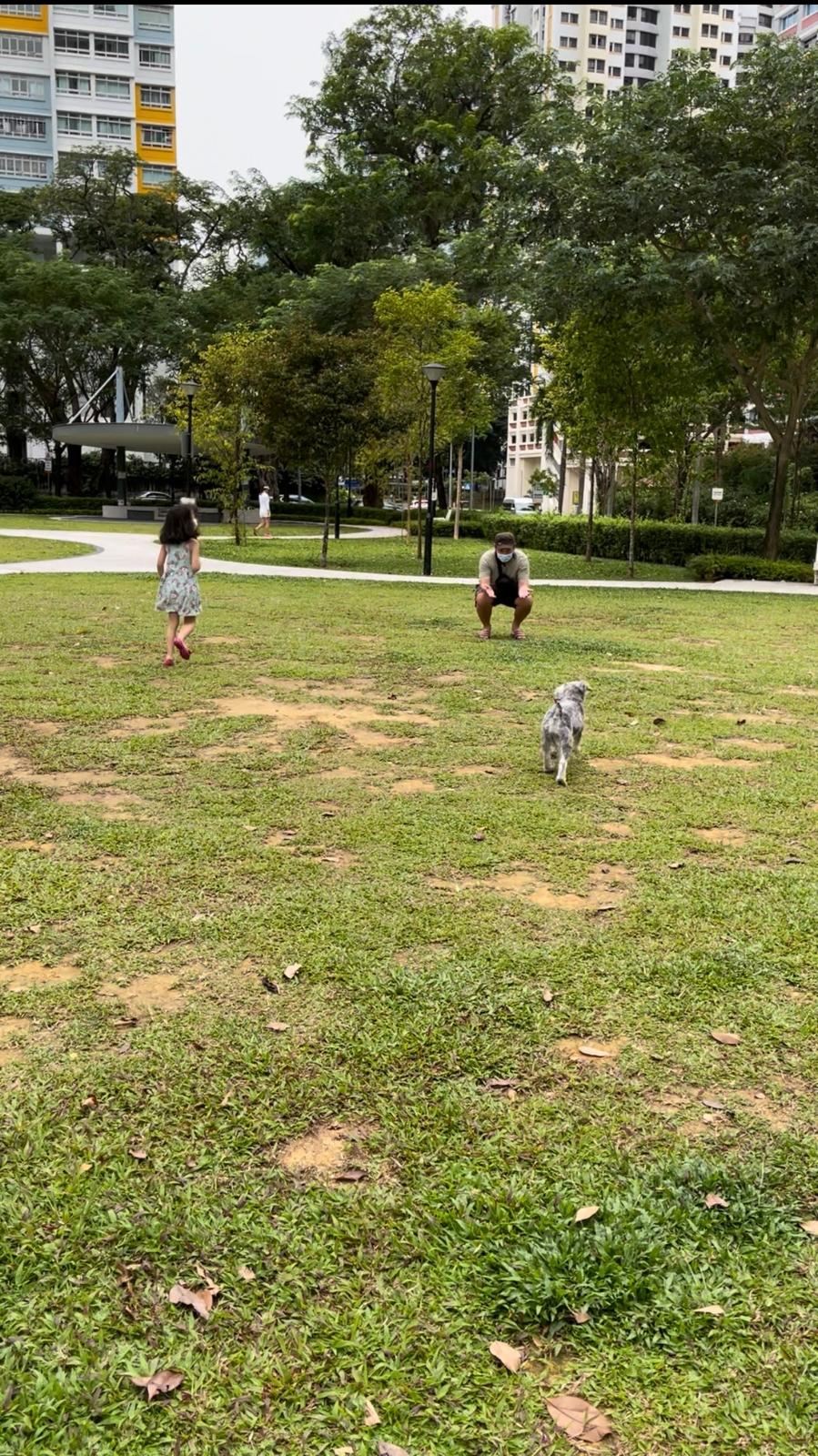 image-18