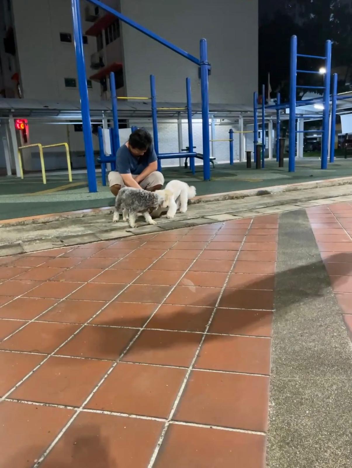 image-20