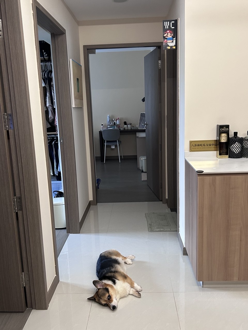 image-15