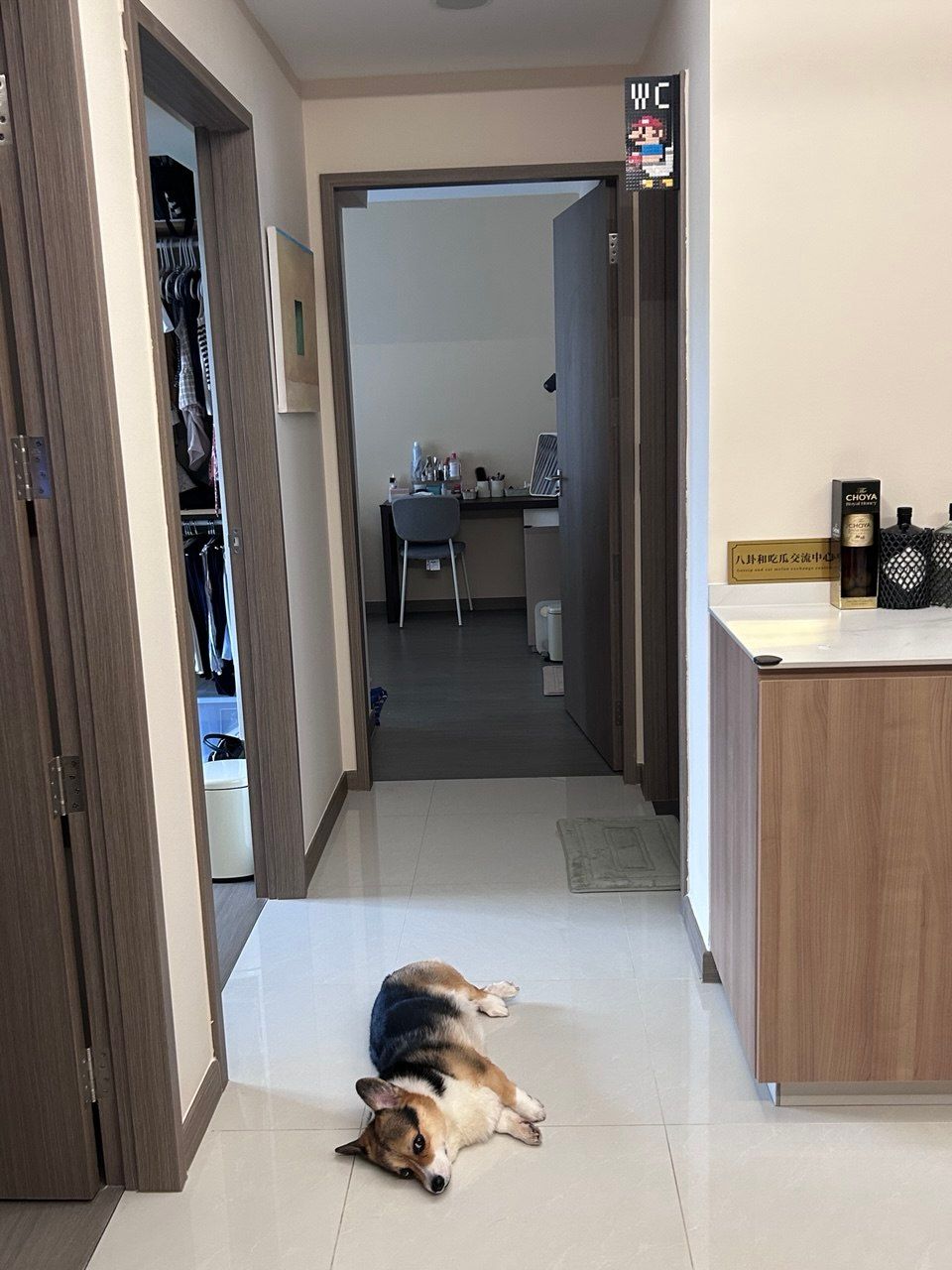 image-15